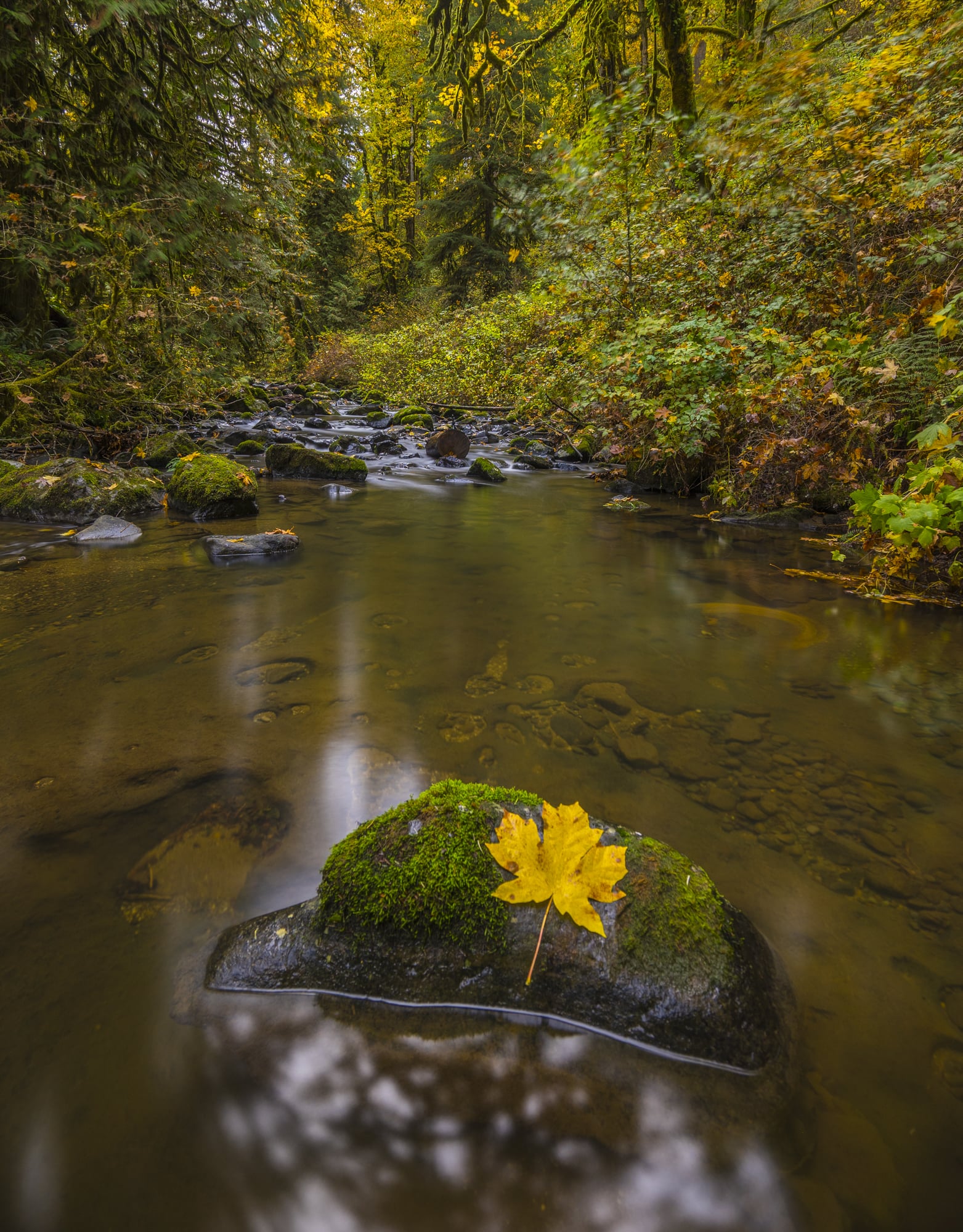 McDowell Creek, Oregon