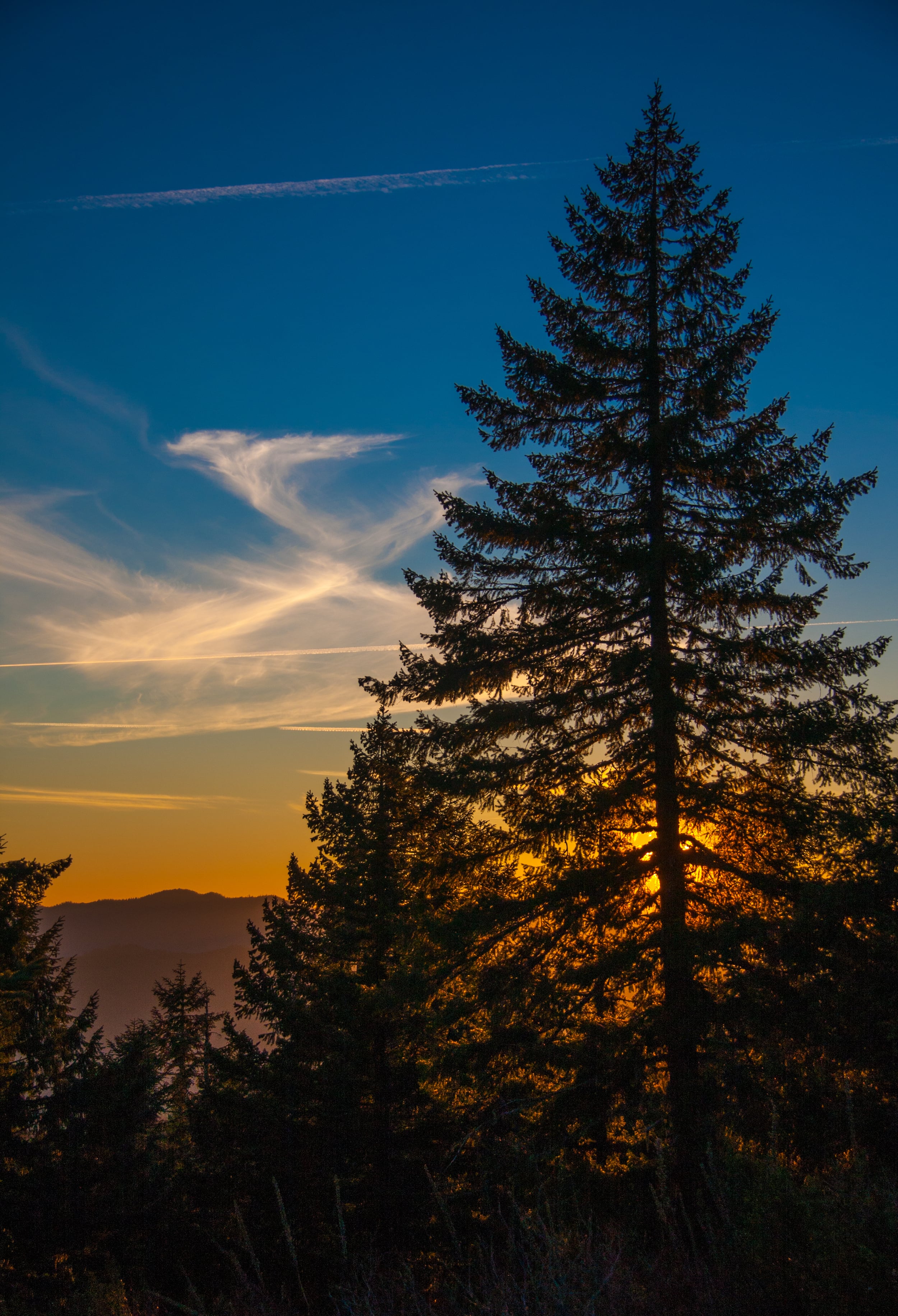 Sunset in Oregon