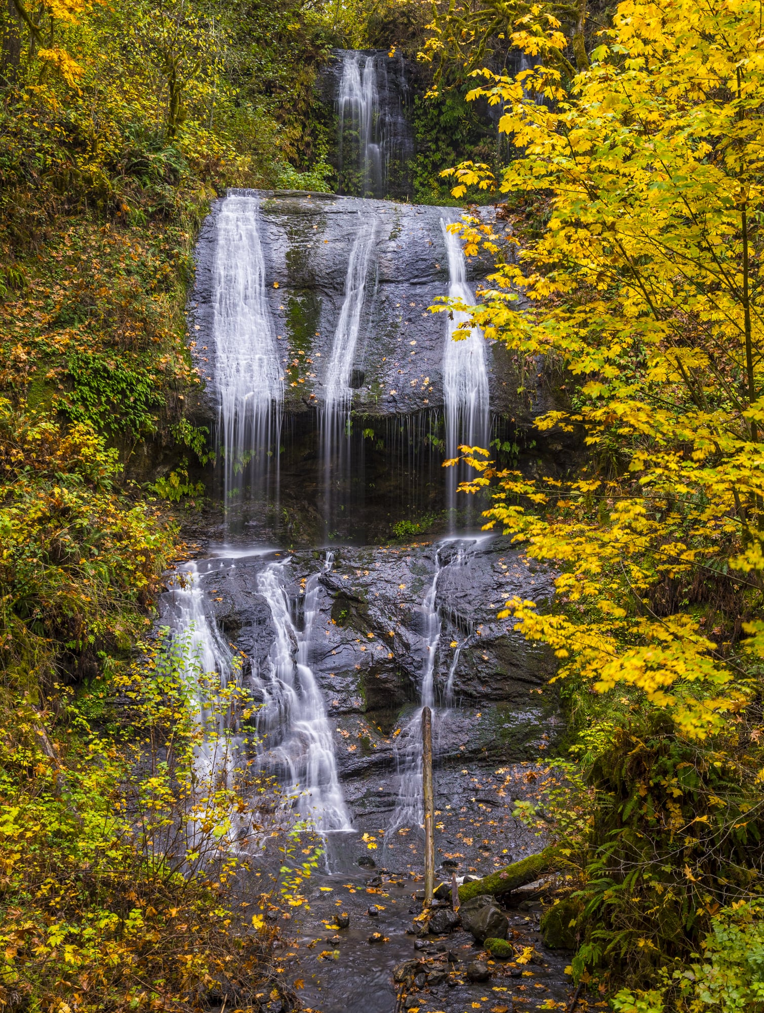 Royal Terrace Falls, McDowell Creek Park, Oregon