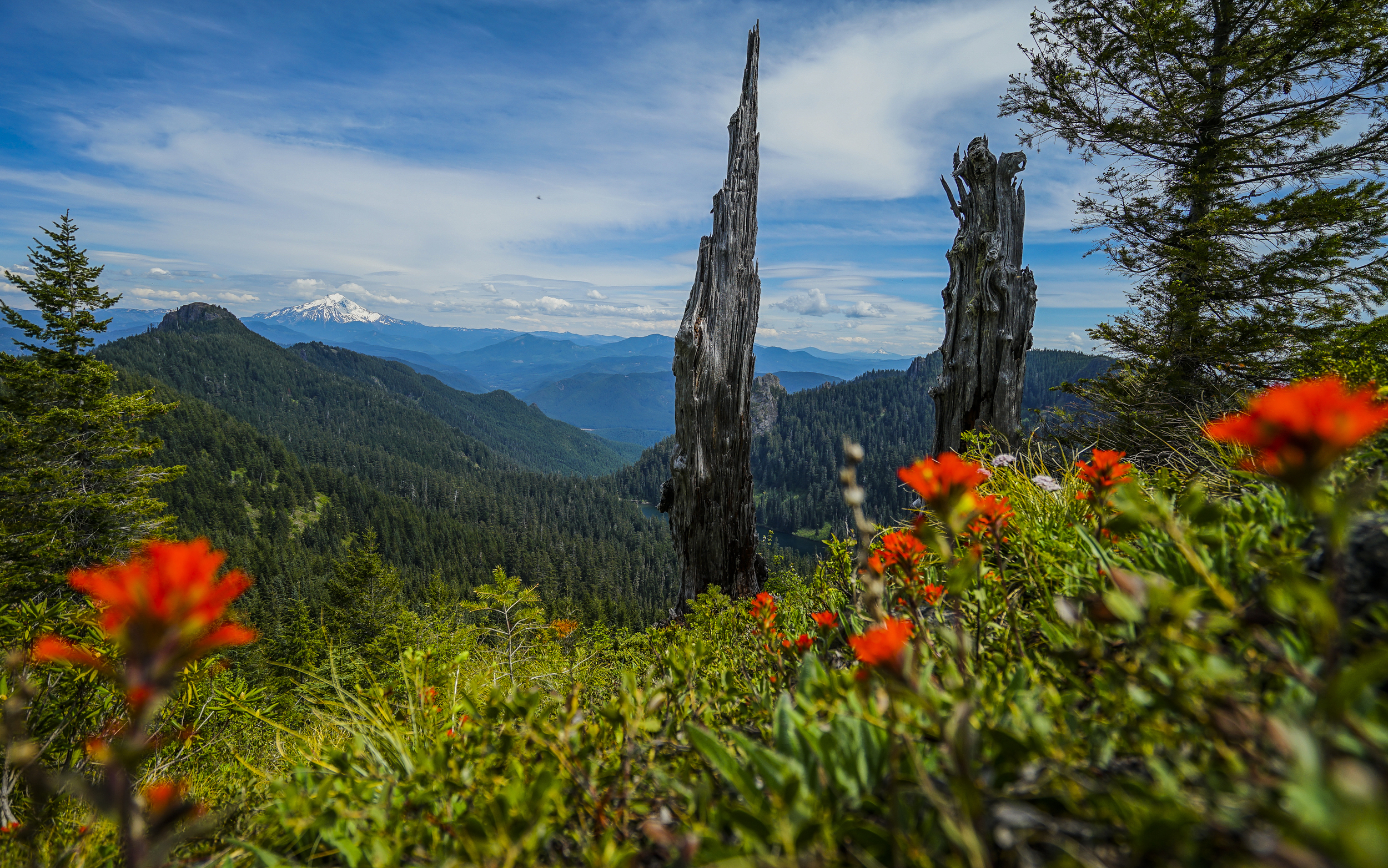 Dome Rock, Mt Jefferson from Sardine Mt. Oregon