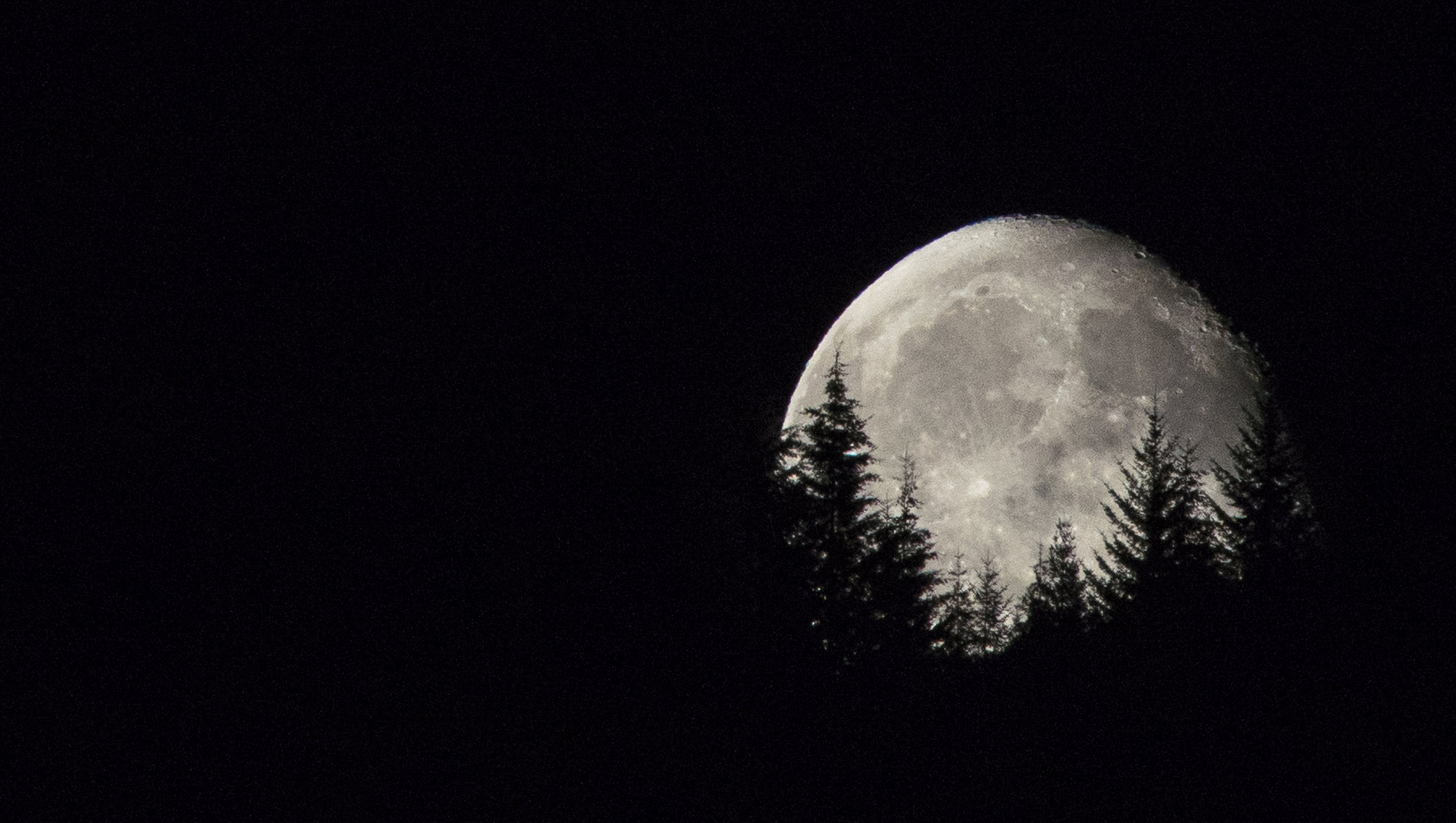 Full Moon Rising, Oregon