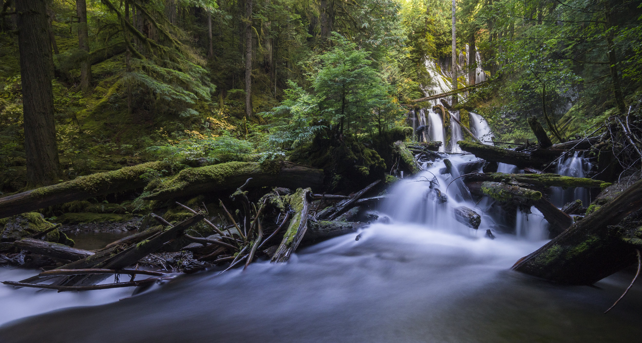 Panther Creek Falls, Washington
