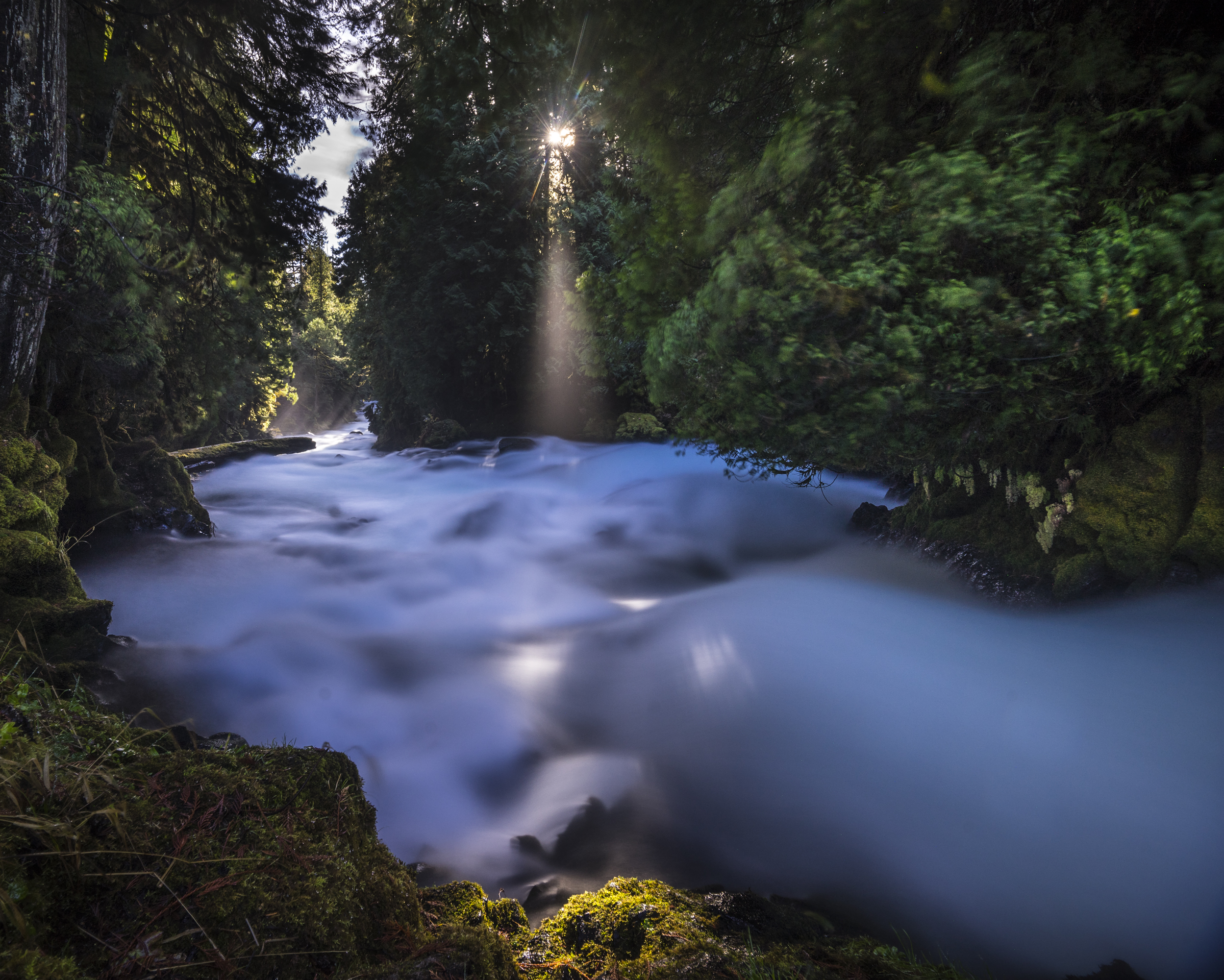 McKenzie River, Oregon