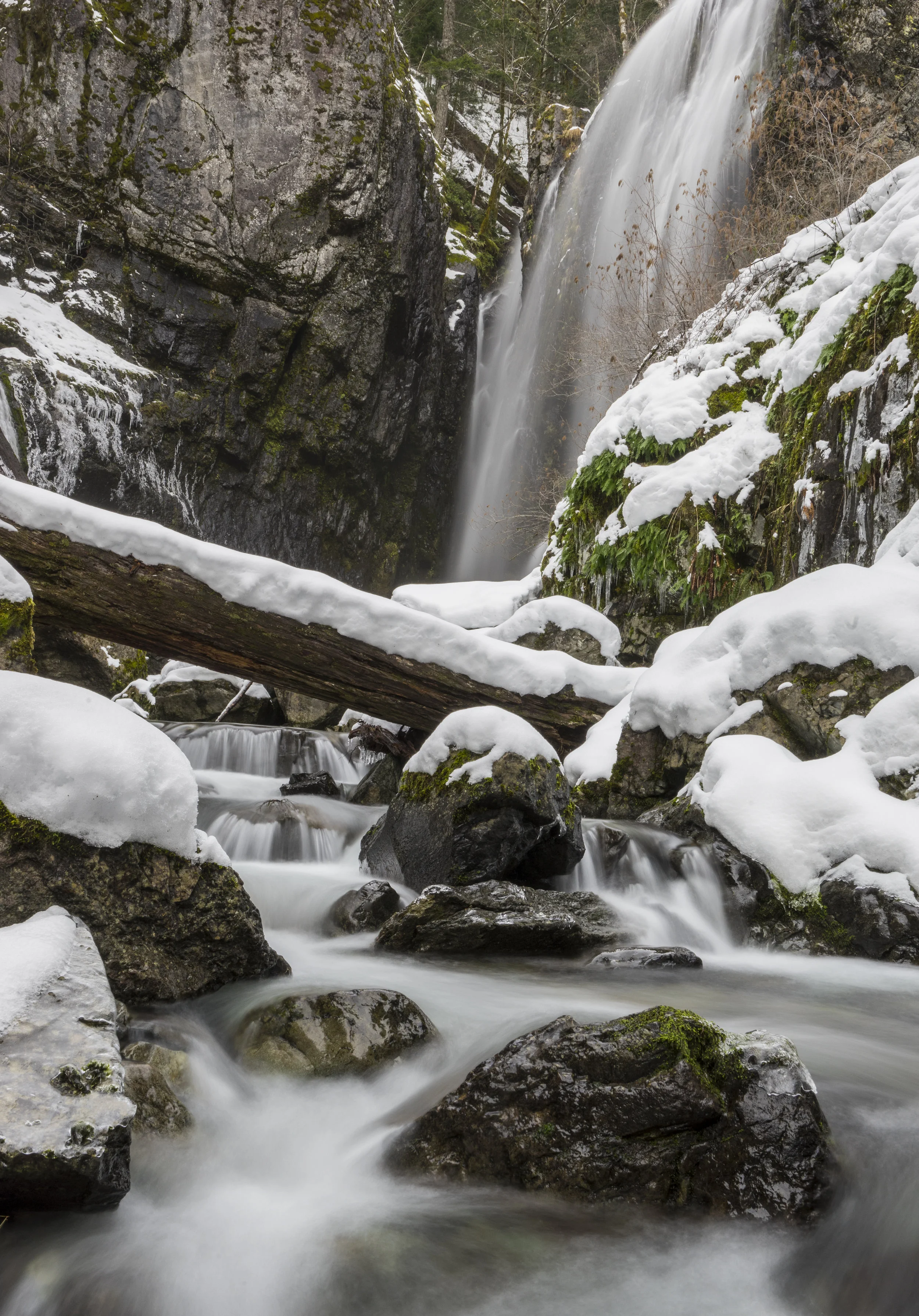 Henline Falls, Oregon