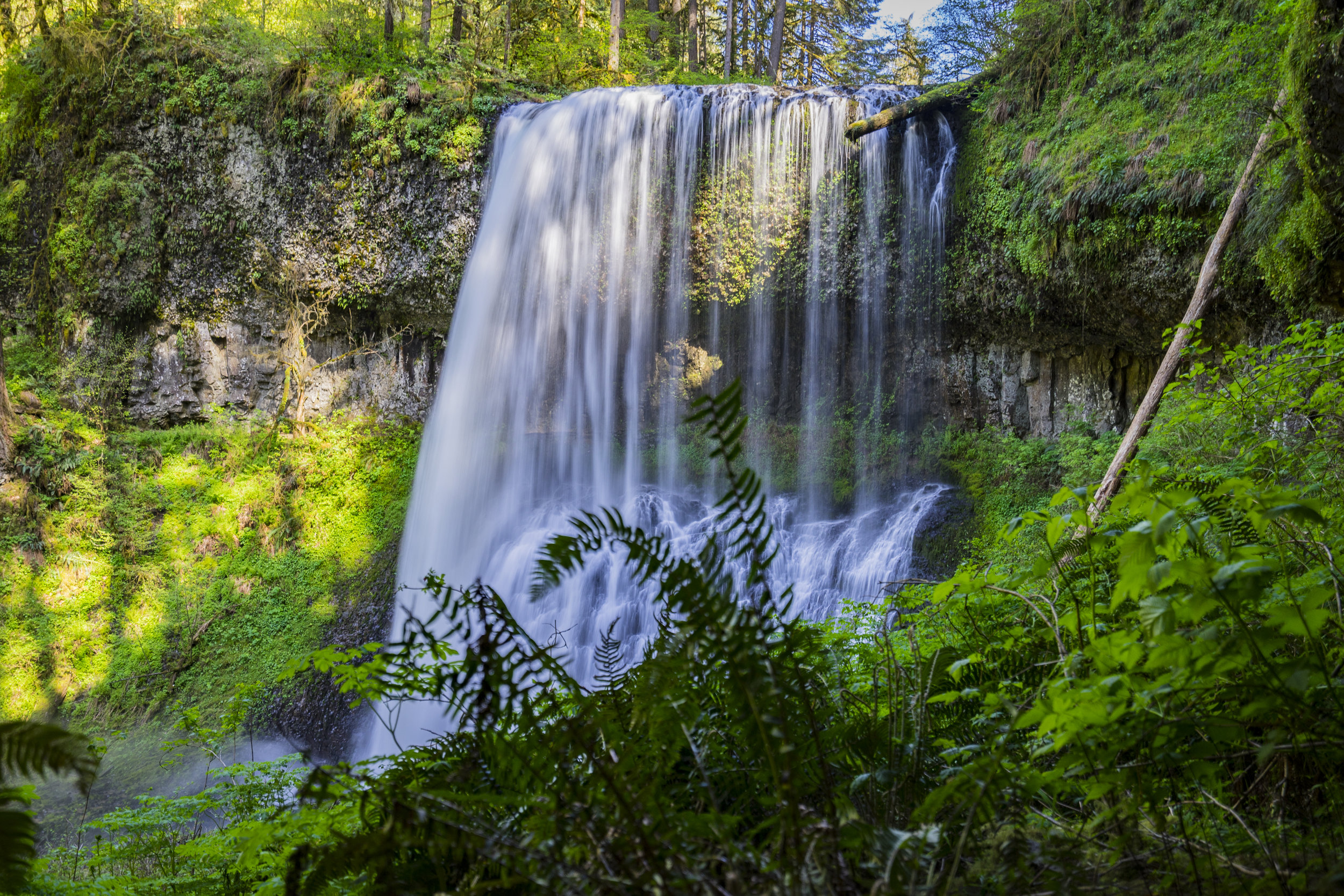 Silver Falls State Park, Oregon