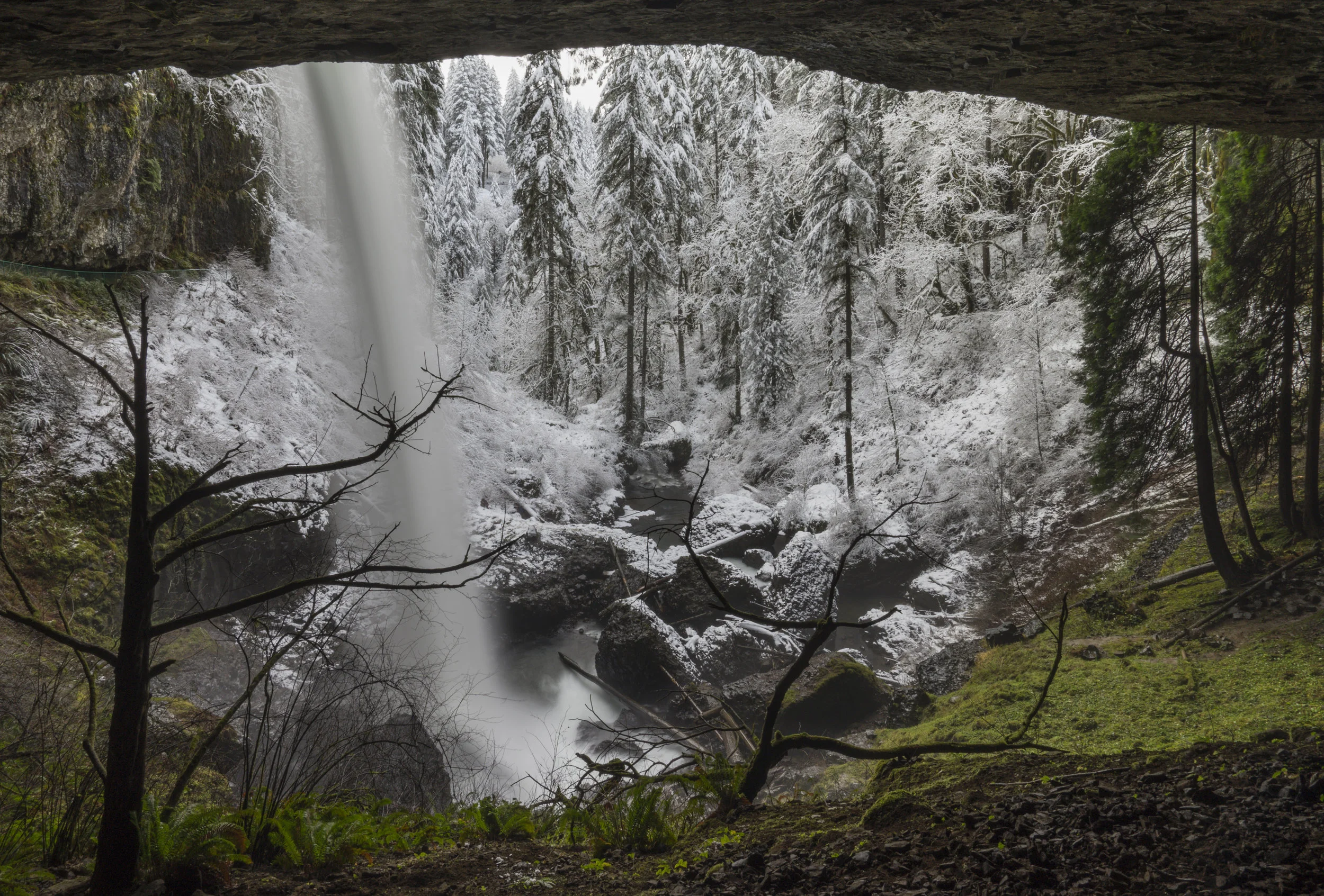 Silver Falls State Park, Oregon