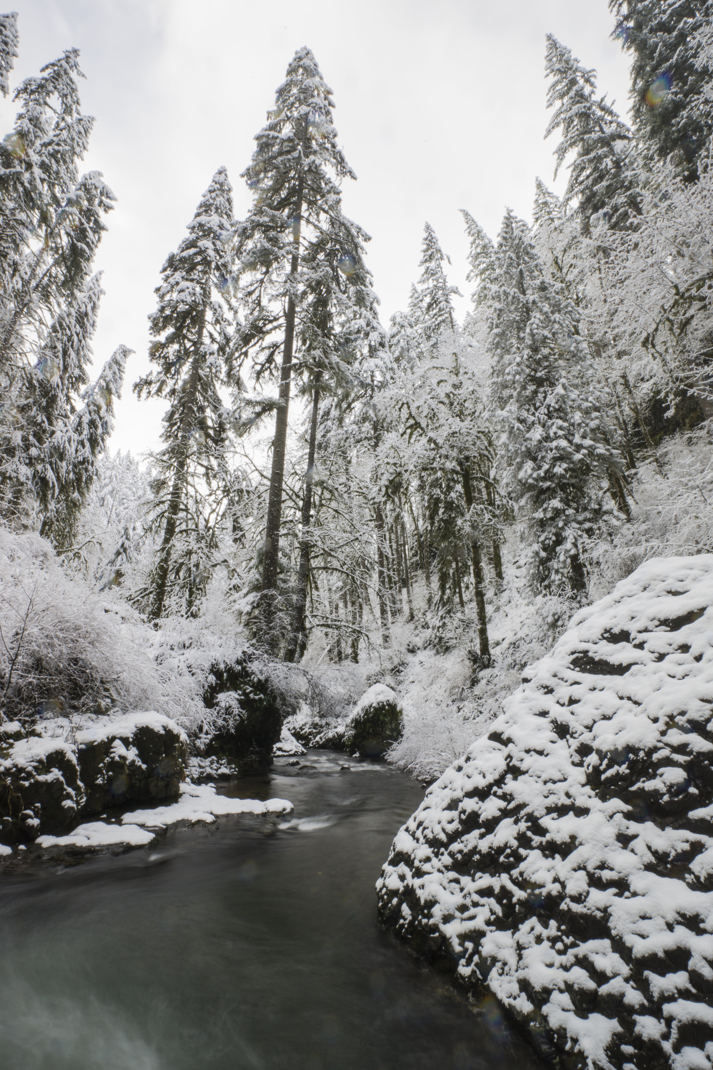 Silver Falls State Park, Oregon