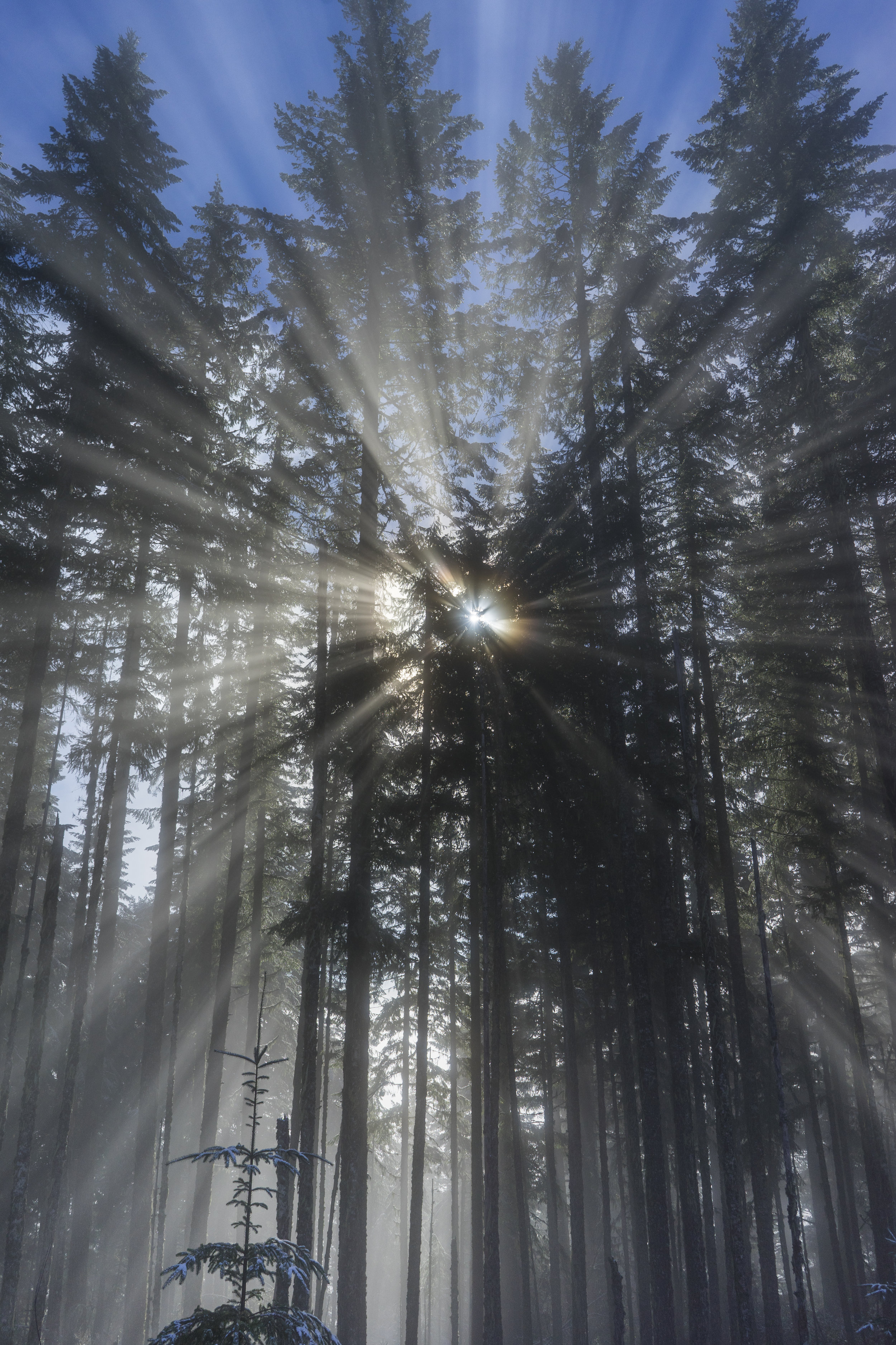 UFO, Oregon