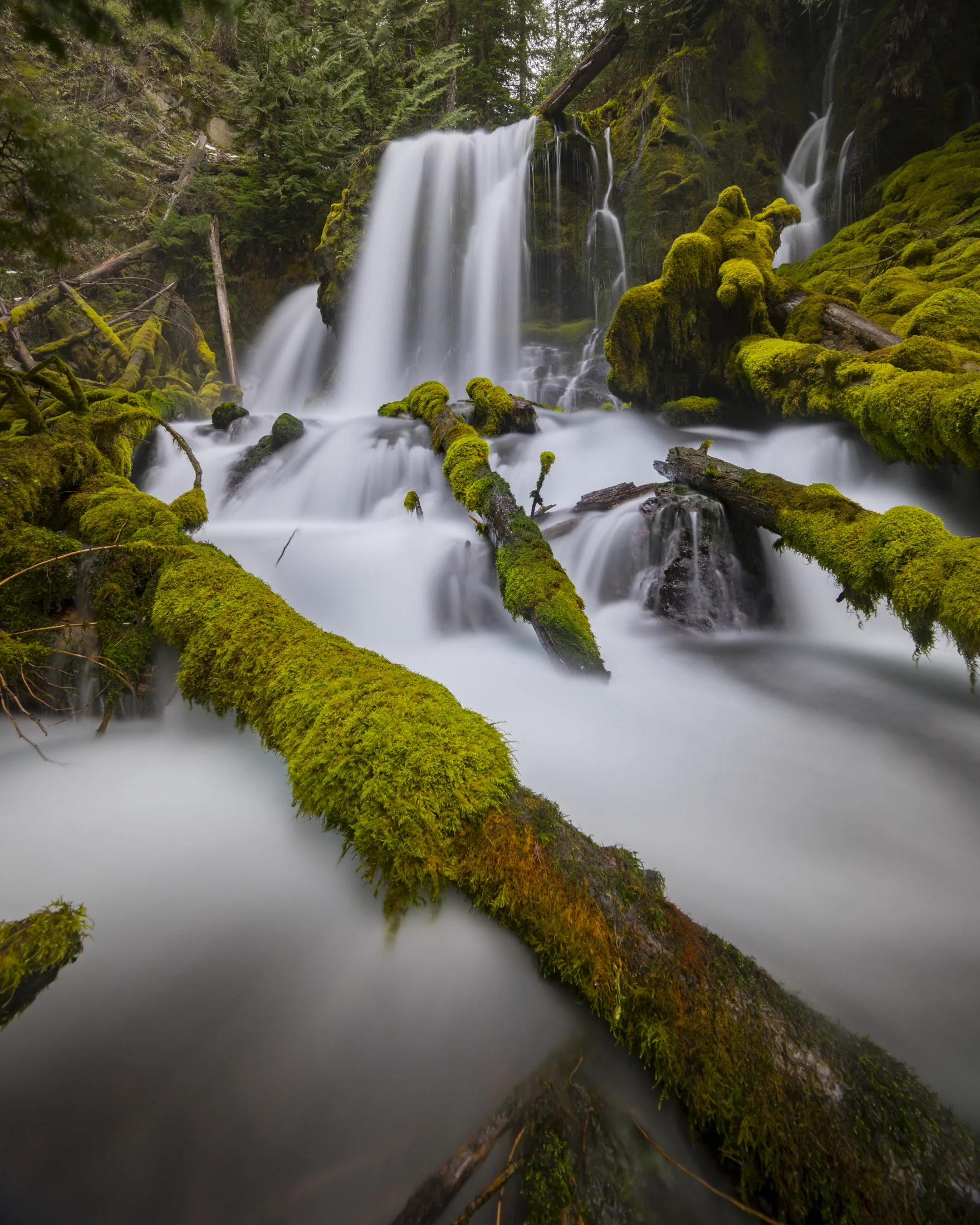 Downing falls, Oregon