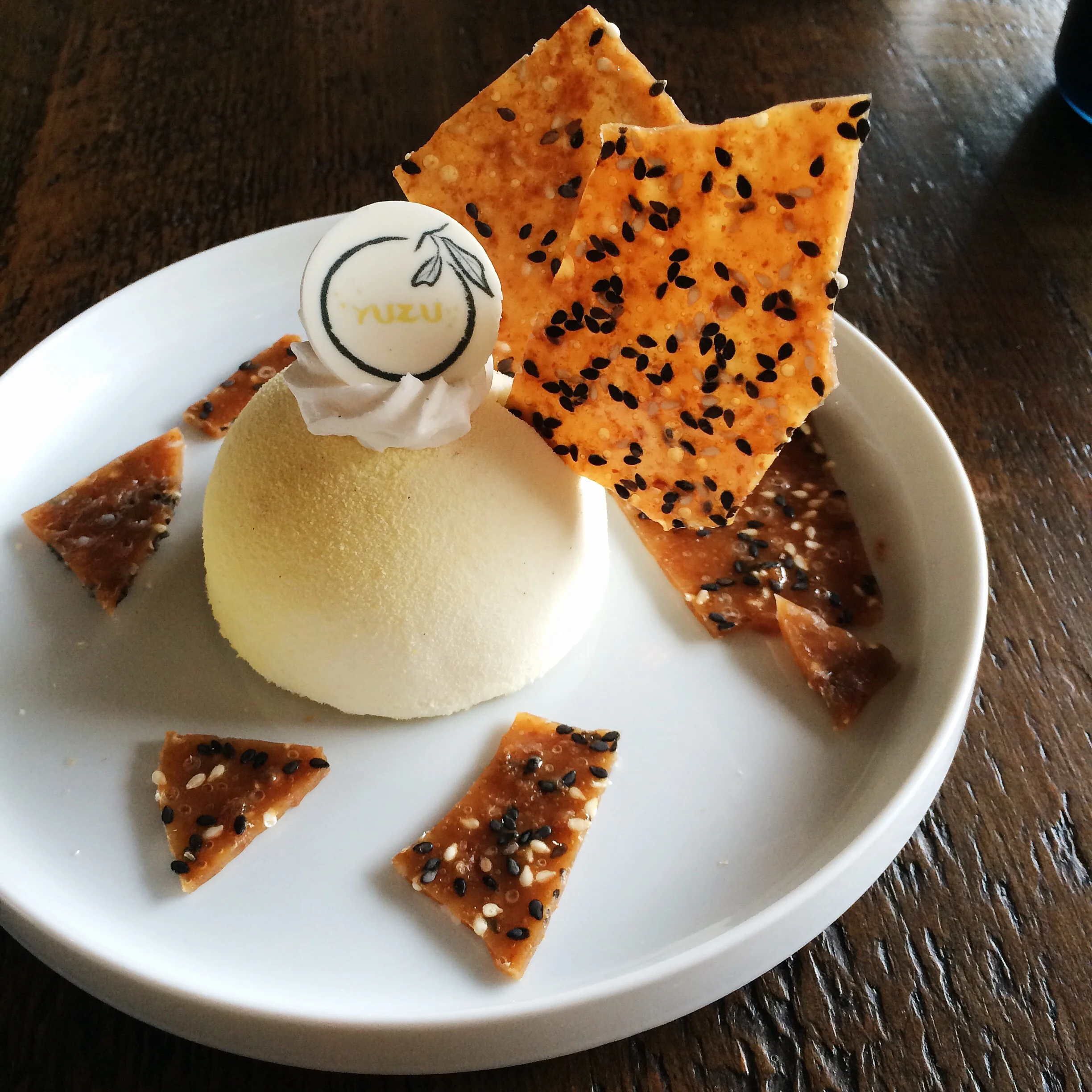 Rainbows, Dragons, Spiders....and Scallops? 