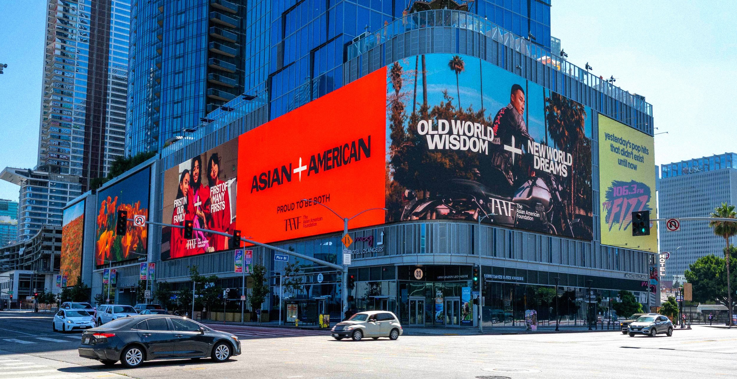 11250725_TAAF_Moxy_Dsm copy.jpg