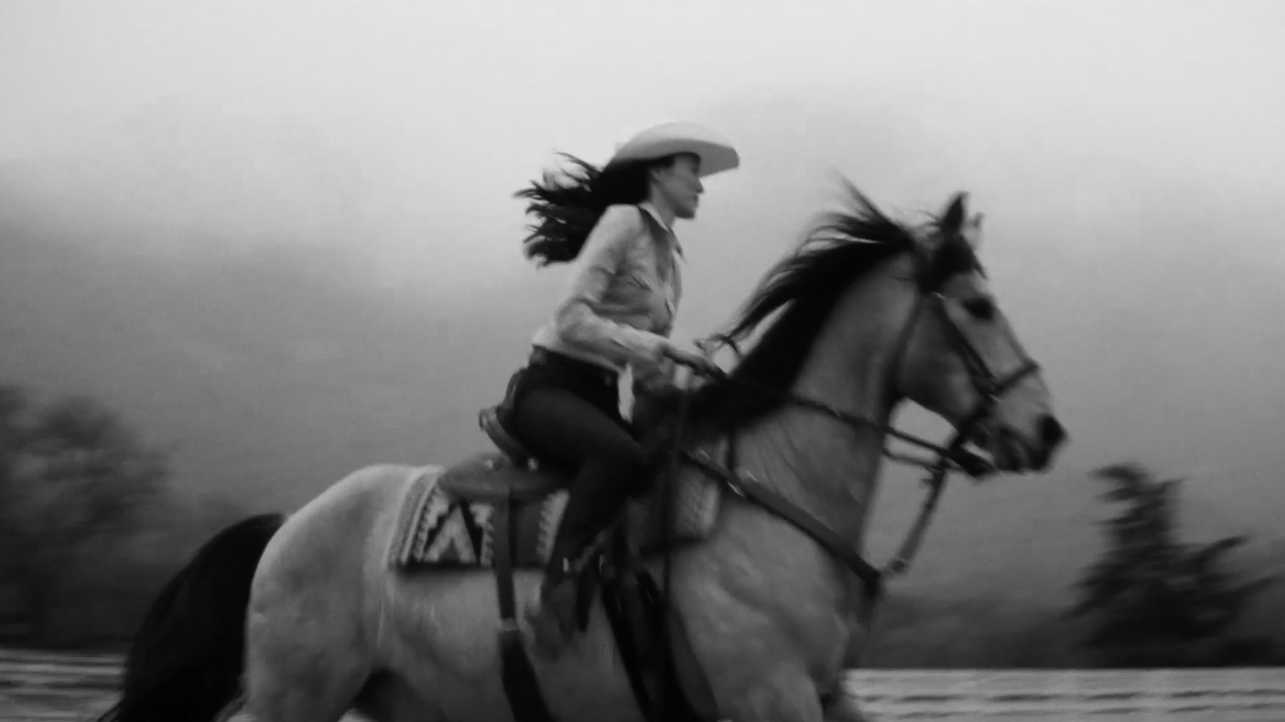 Screen Shot 2026-01-21 at 8.09.12 PM.png