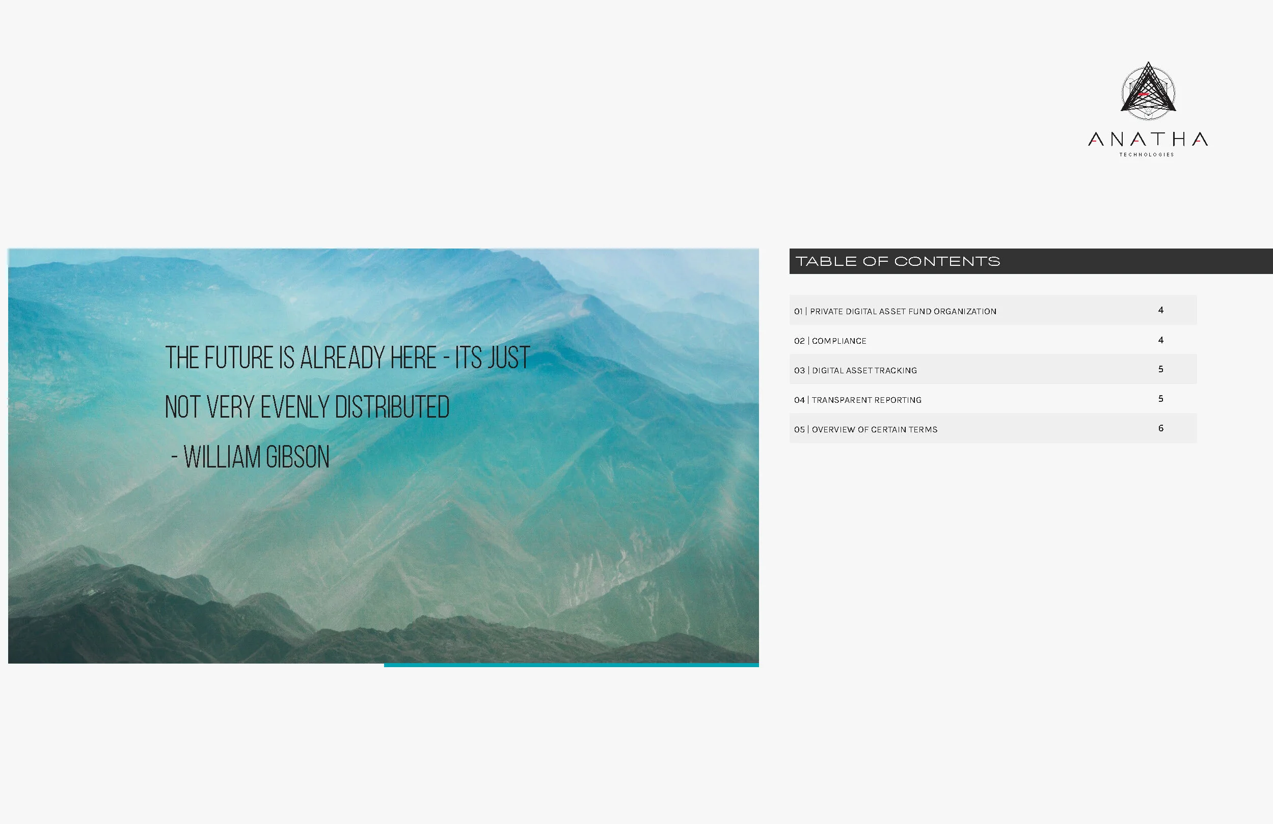 Blockchain Fund - Terms_Page_2.jpg