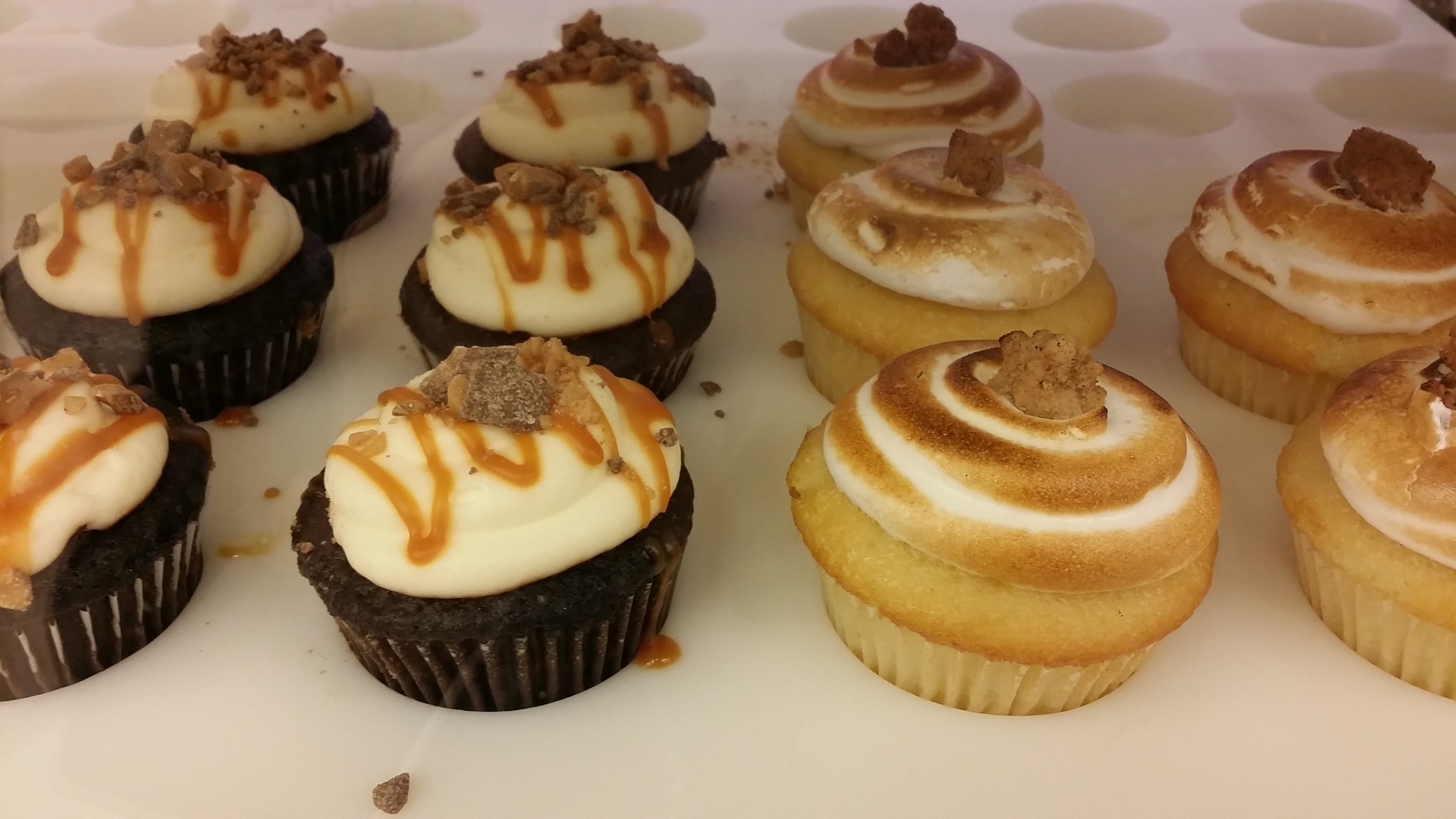 Cako Salty Dog Cupcakes & Campfire Cupcakes