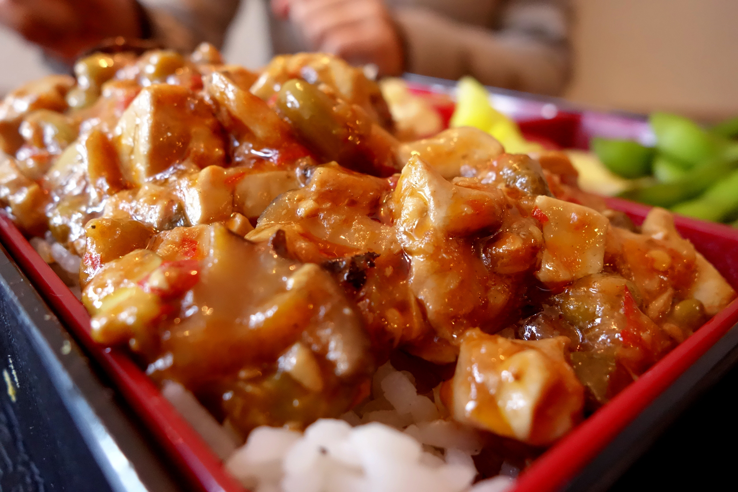 Closeup of Tofu Bento at Taiwan Bento in Oakland, California. 2016.