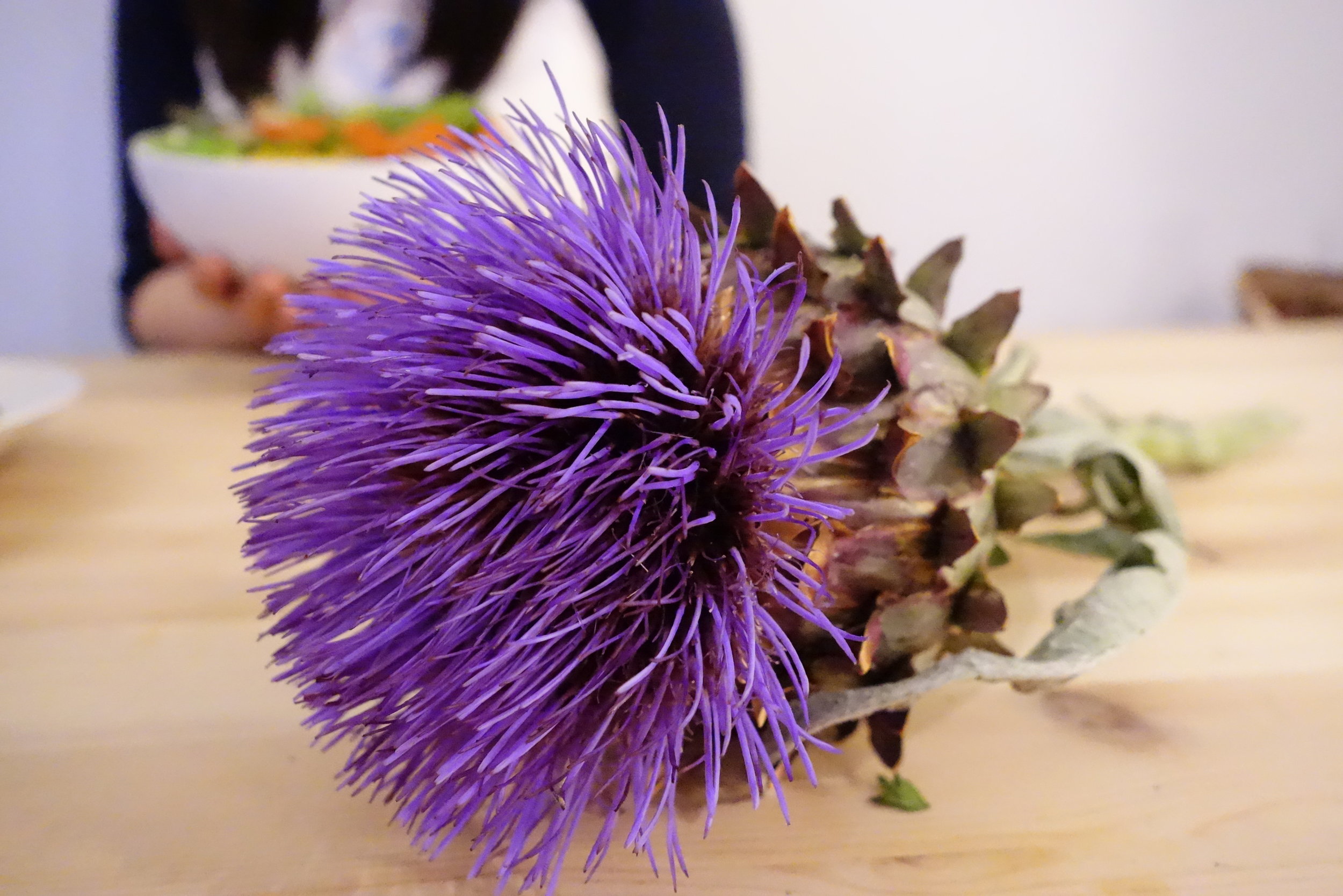 Artichoke Flower.