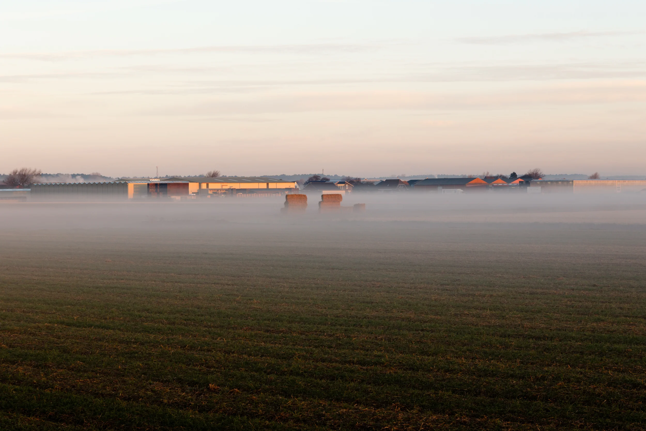 Foggie weather