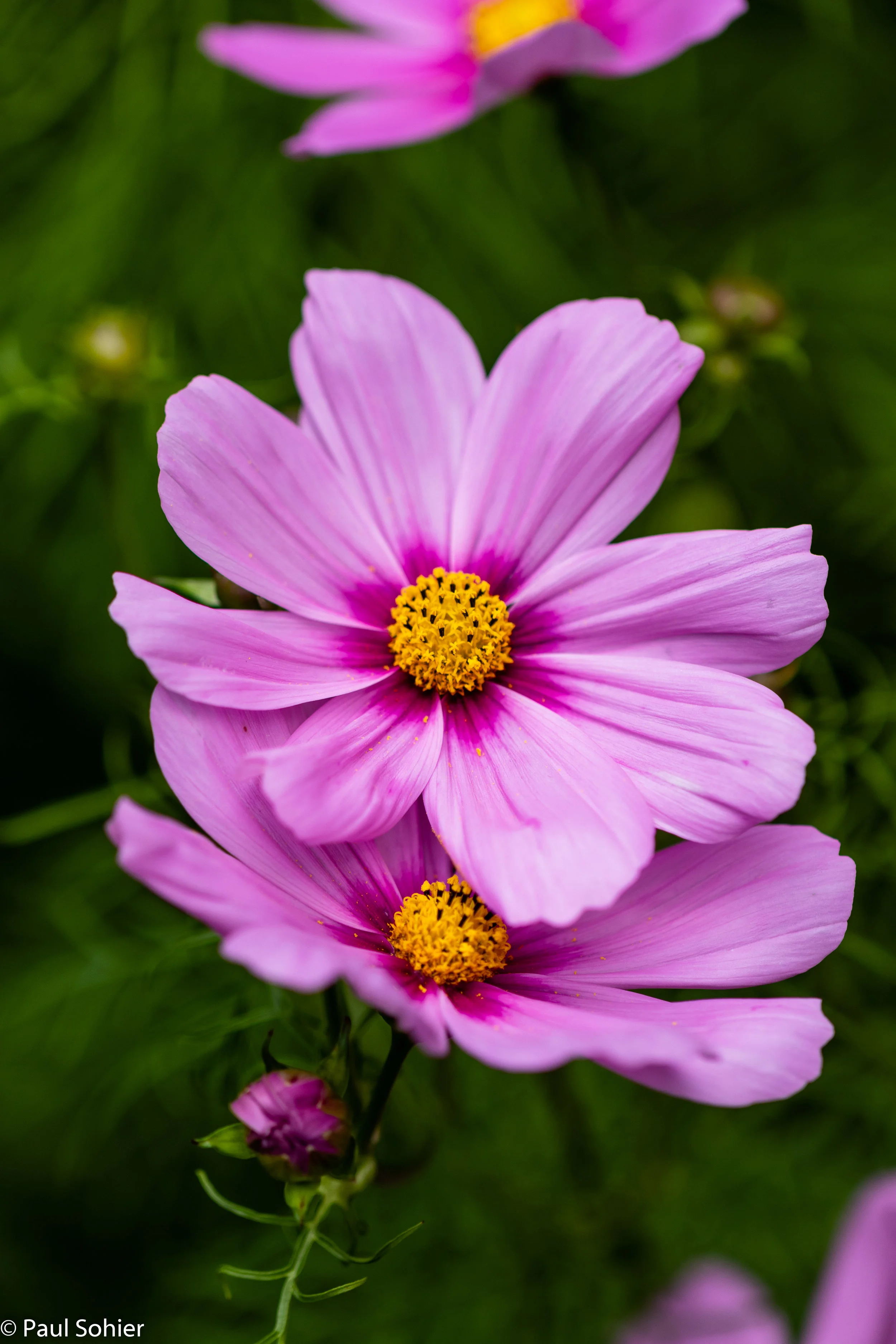 0V6A0145.jpg