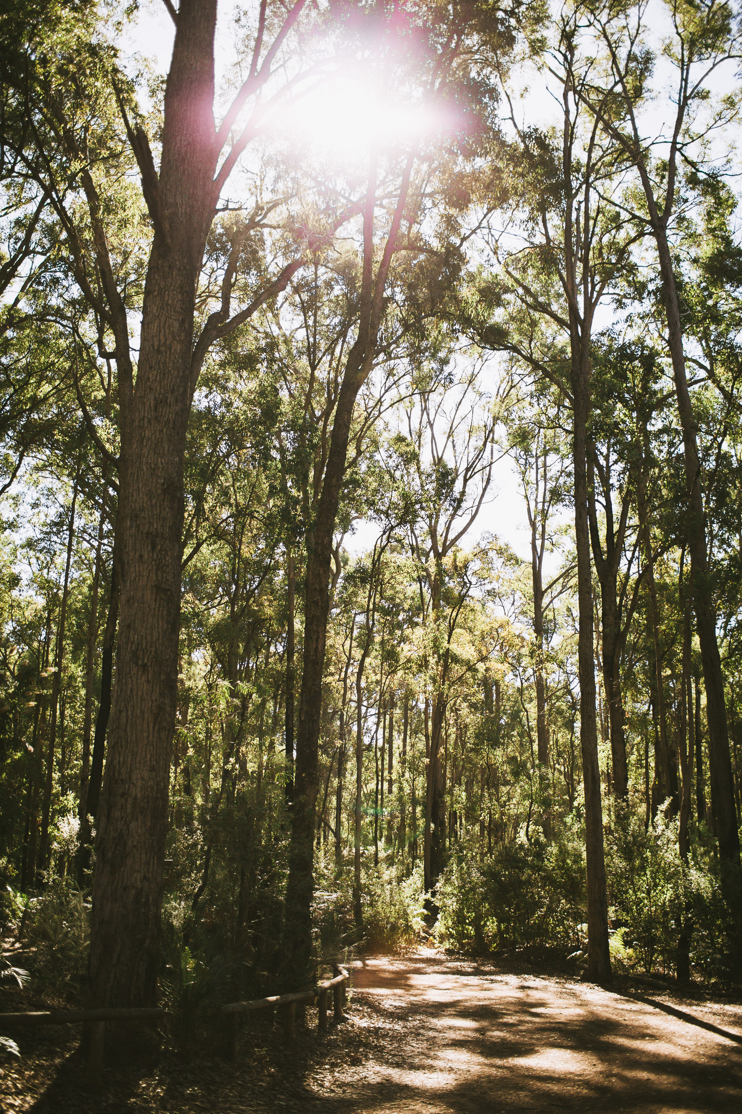 Dwellingup nanga bush wedding 002.jpg