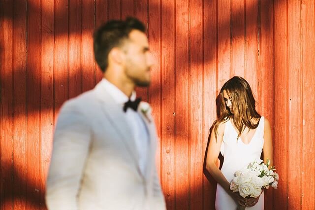 Sometimes you just have to take a step back and look at your Monday a little differently 😎
.
The fabulous N + J married at @bathersbeachhouse by celebrant @bethparkercelebrant | blooms @wandering_leaf_co | bride&rsquo;s hair @mellyd_merakiforhair | 