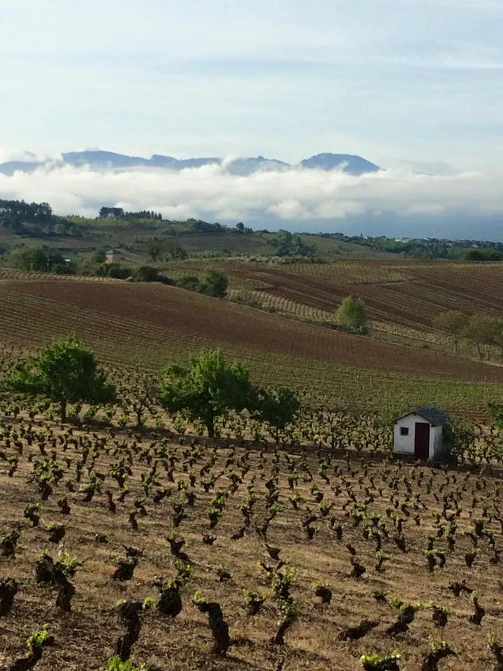 view2.jpg