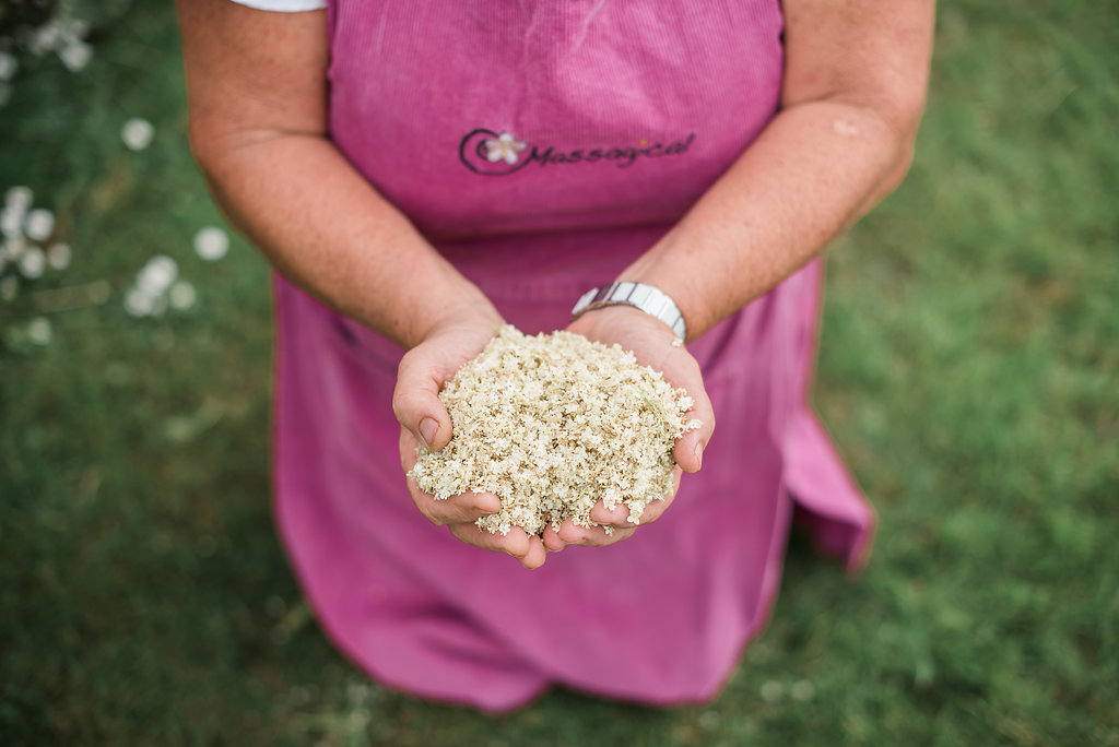elderflower-image.jpg
