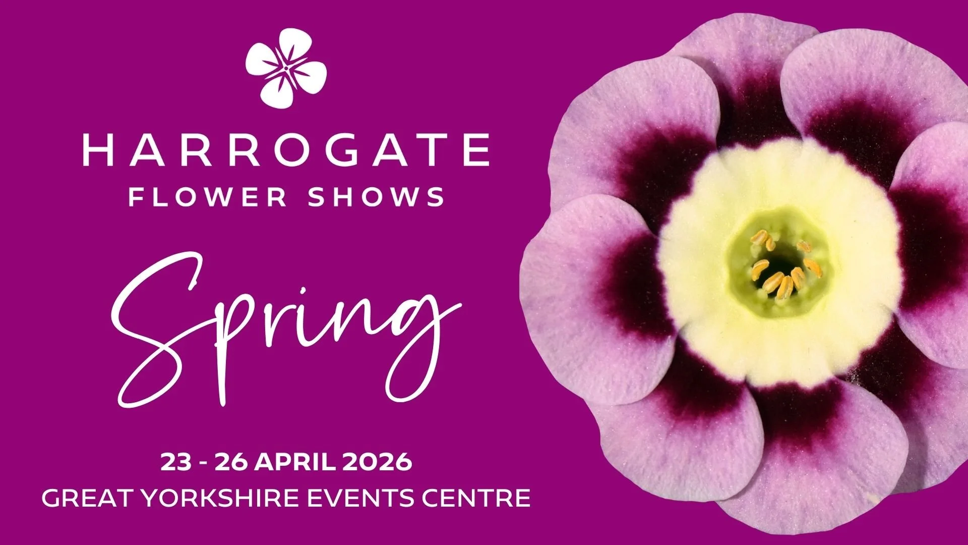 Harrogate Spring Flower Show 