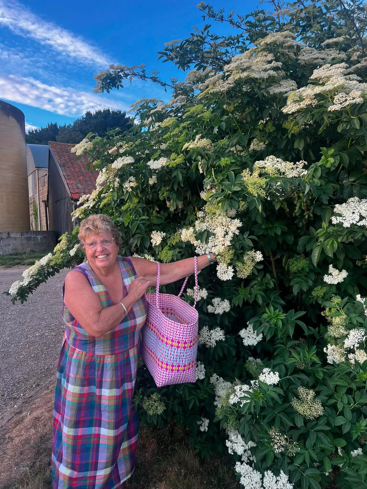 🌼 ELDERFLOWER SEASON 🌼

The most important time of the year for Massagical, as the elderflowers picked in early summer infuse the oil used in all Massagical manufacturing the following year! 

It&rsquo;s been a challenging year so far as this warm 