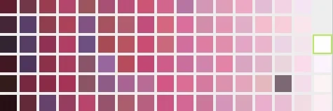 PINK PETUNIA COLOR SET.jpg