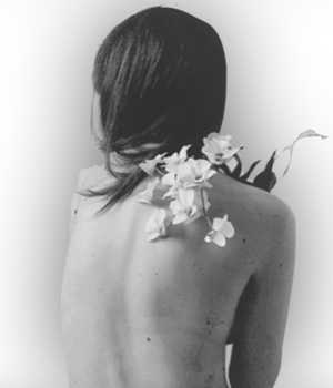 back.png