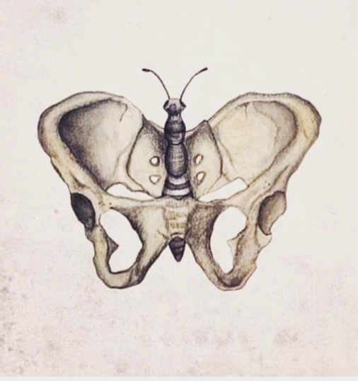 THE MOVING PELVIS - GENT
