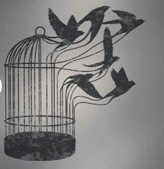 RELEASING DEFENSE and ANXIETY PATTERNS THROUGH FELDENKRAIS LESSONS - ANTWERP