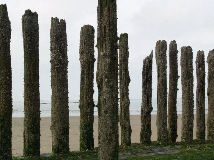 Breakwater II.