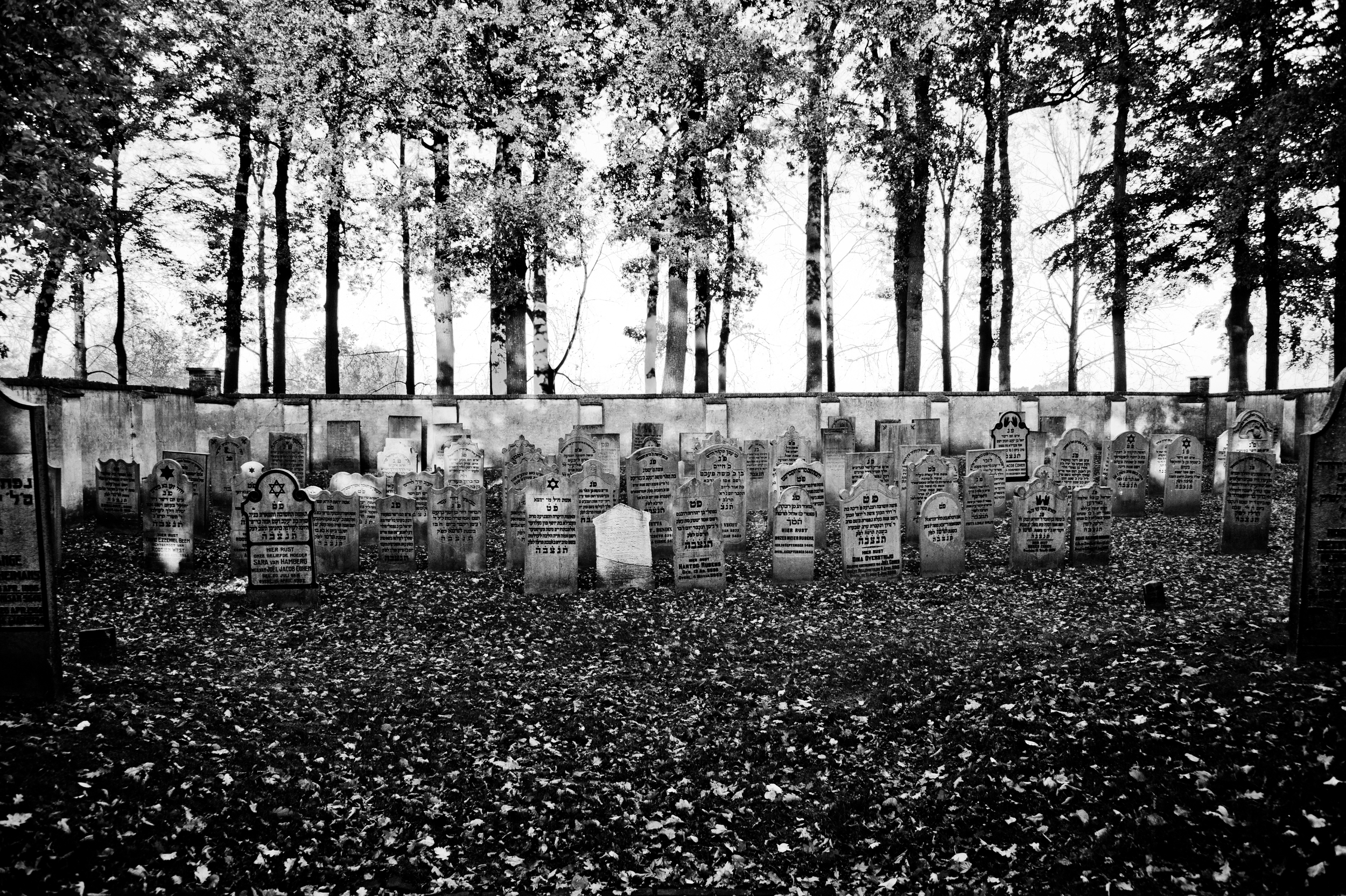 Jewish Cemetery I.