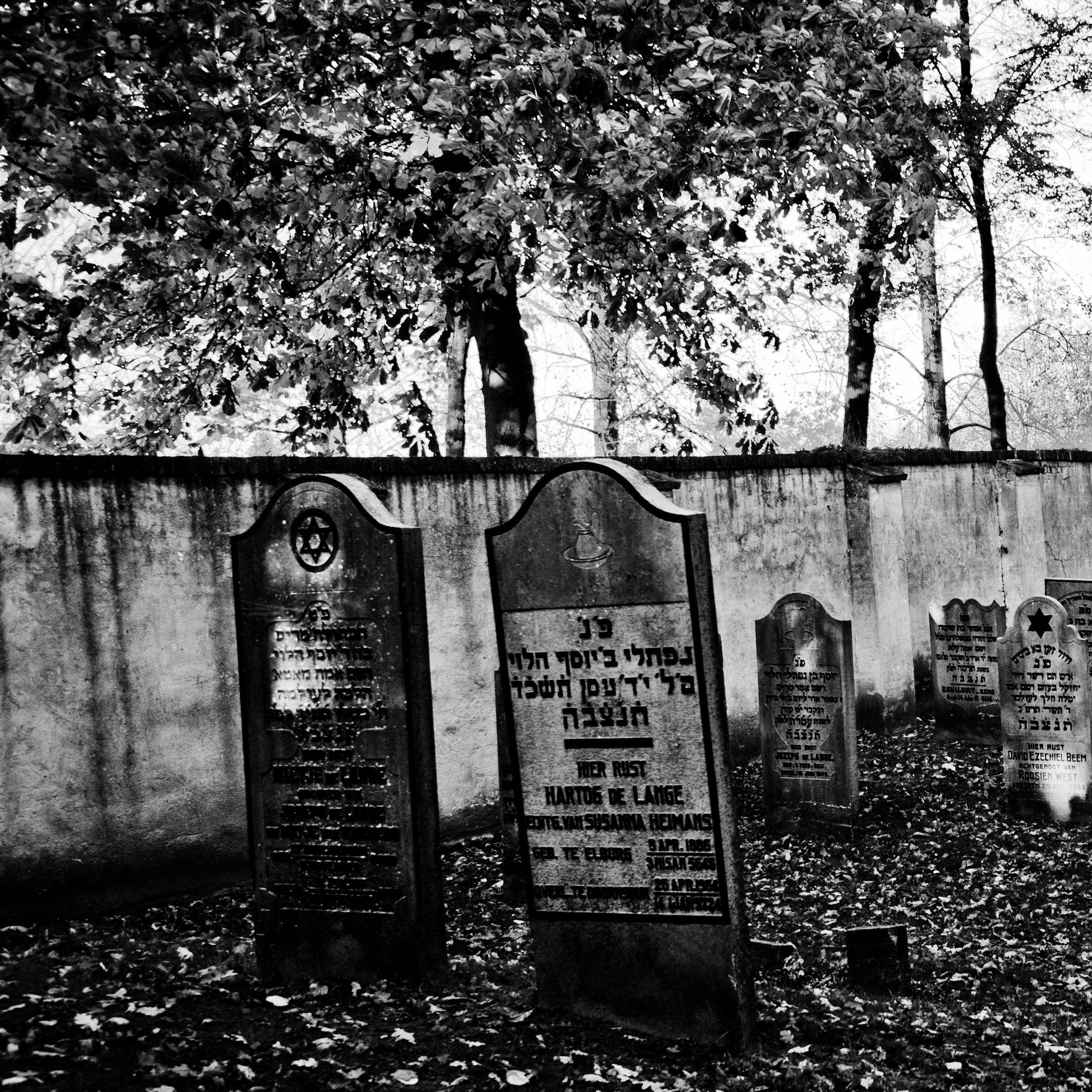 Jewish Cemetery II.