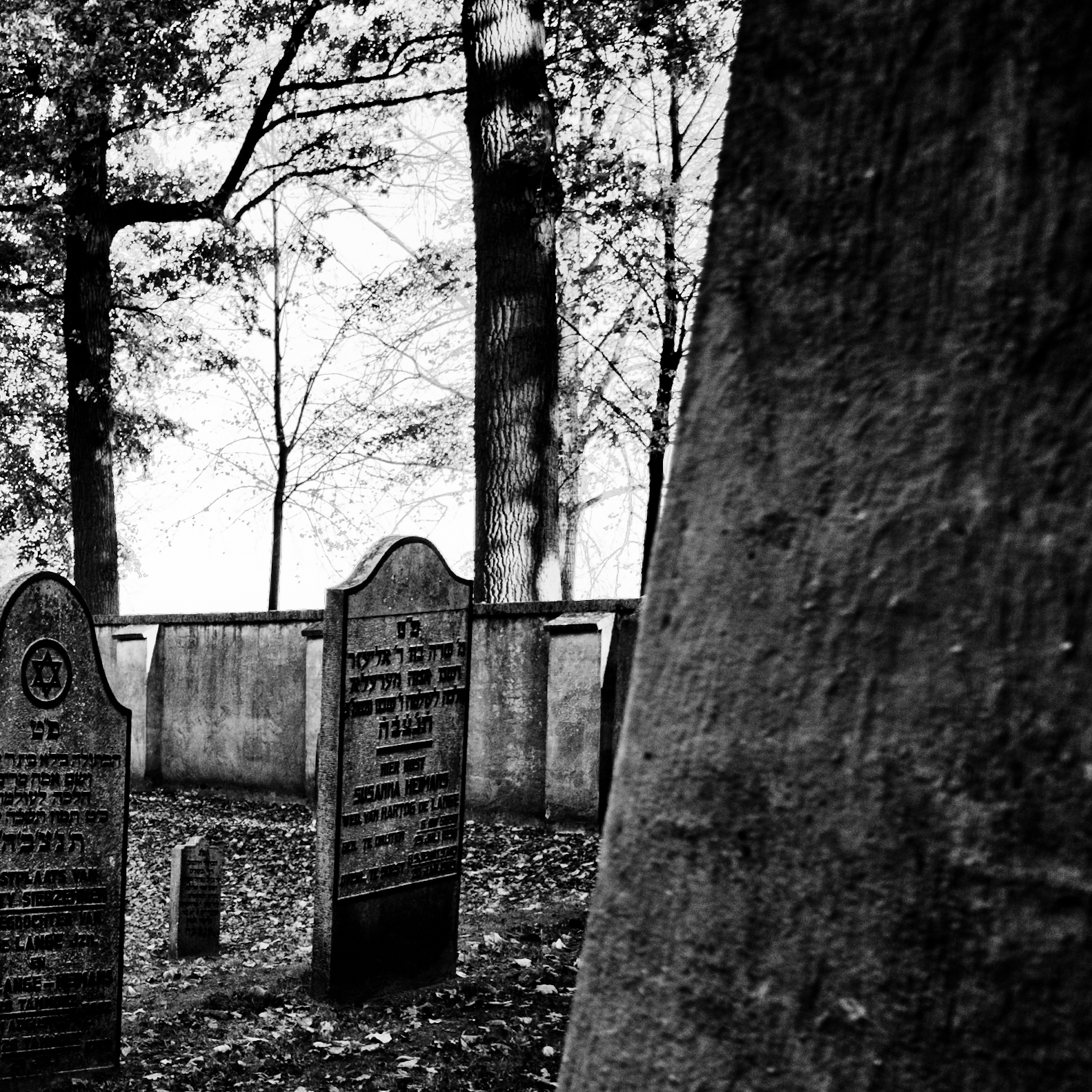 Jewish Cemetery IV.