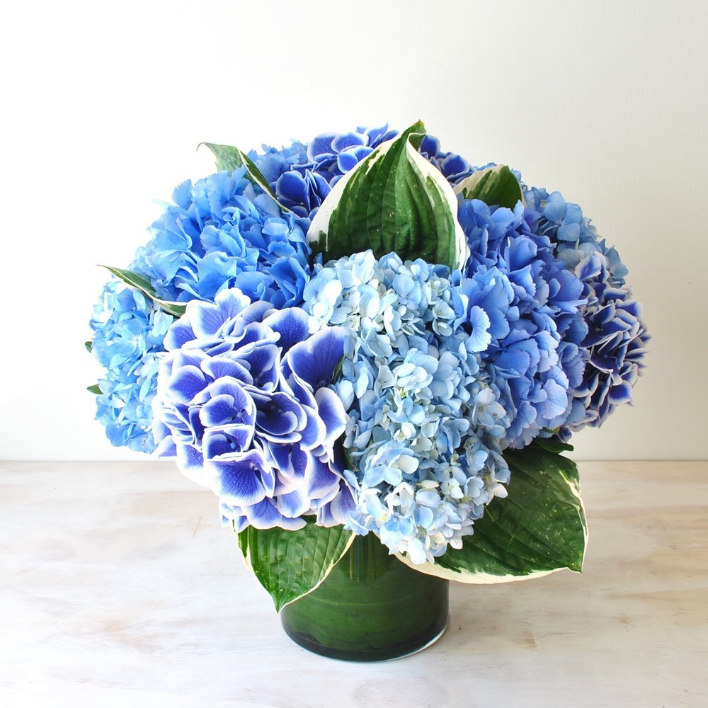 Flower Delivery in Brookline ma
