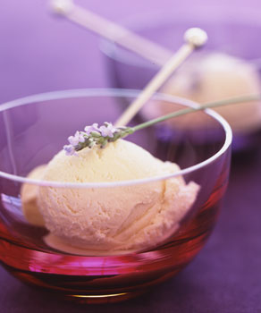 &nbsp;Below I've shared a recipe for Lavender Honey Ice cream that is simply divine.&nbsp;From the one and only Martha Stewart.