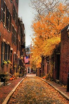 We've saved the very best for last! Ok so we're a little biased, but wander through the cobble stone, lamplit streets of Beacon Hill on a cool fall evening and see if it doesn't become one of your absolute favorite places too!