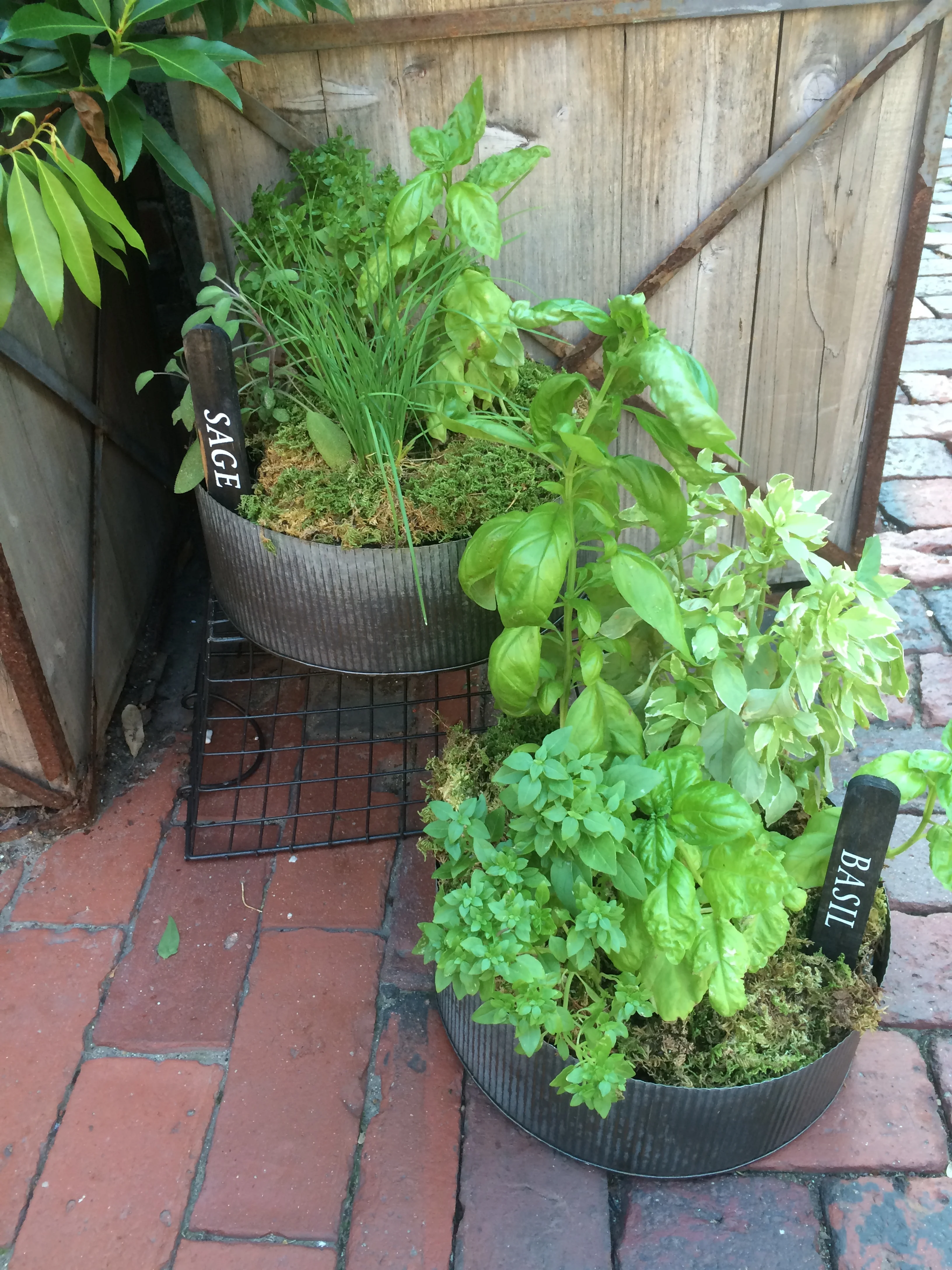We still have some adorable herb planters available. They make really fantastic hostess gifts, so if you will be the guests of anyone with a passion for cooking this summer why not bring them something sweet? (or salty, or smoky, or bitter?)
