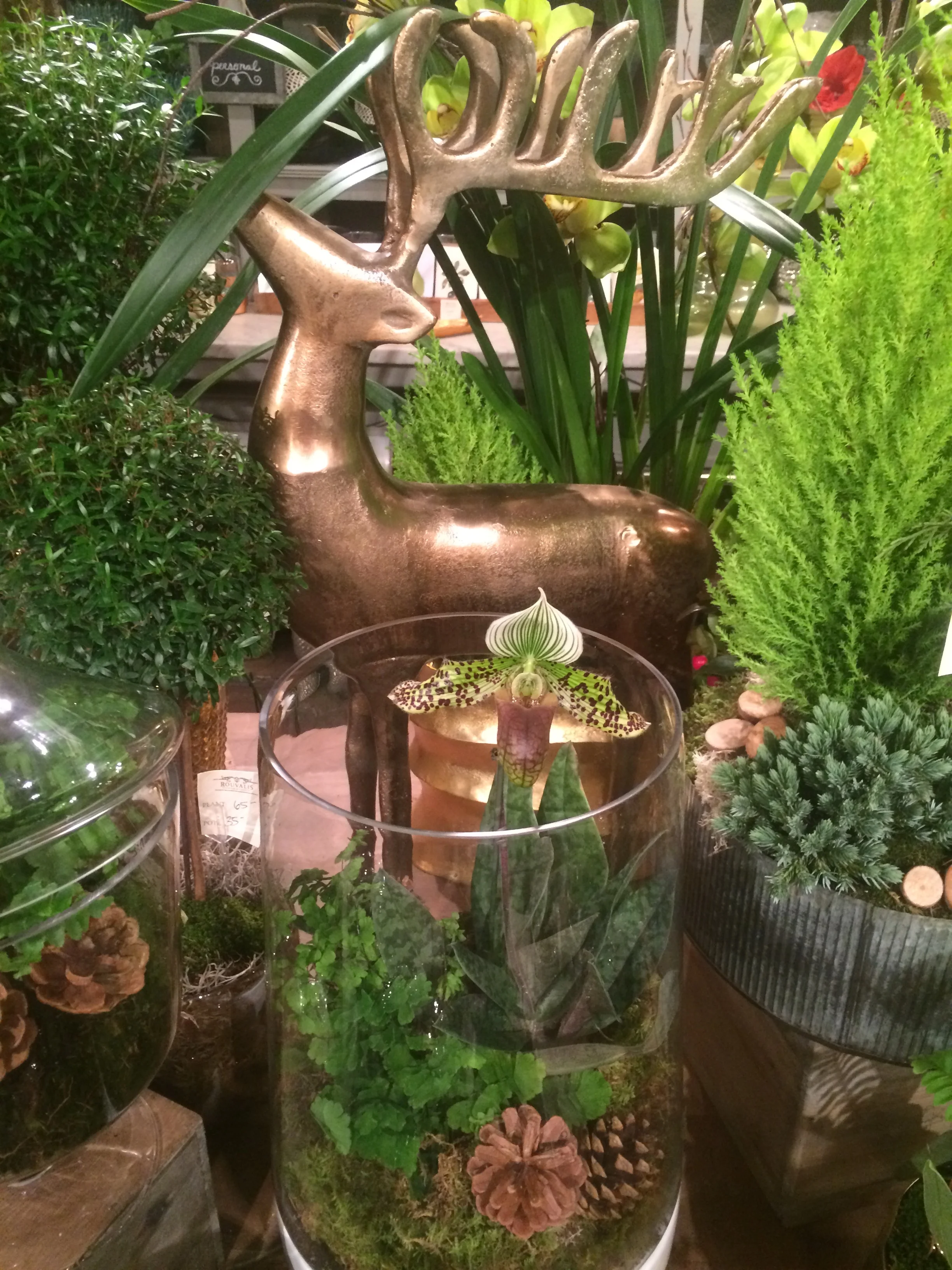 A golden reindeer stands guard over a terrarium featuring a complex ladyslipper orchid 