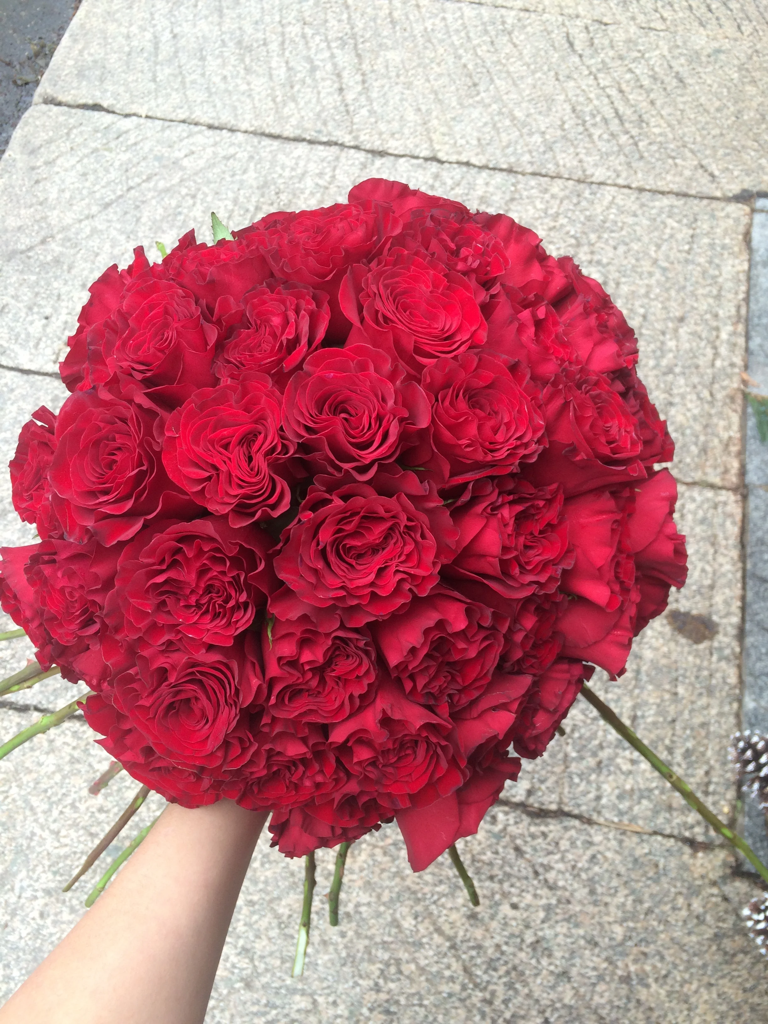 We start by arranging 50 large red roses in the hand-tied style. This can be very difficult. Especially if you haven't de-thorned the roses! The rose variety we've used here is called "Heart". It has an absolutely irresistible ruffled petal and color. 