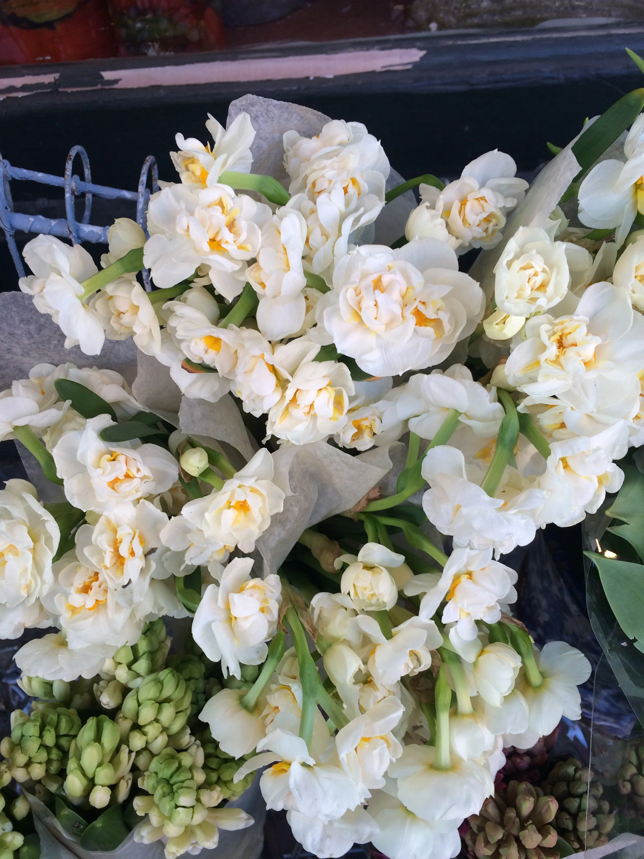 Heavenly scented paper-whites in creamy whites and golds. 