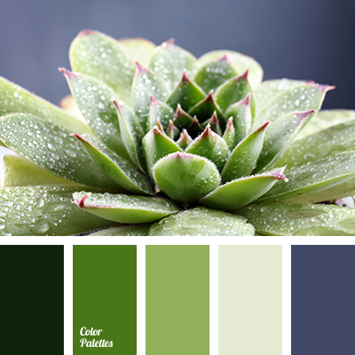 olive.png