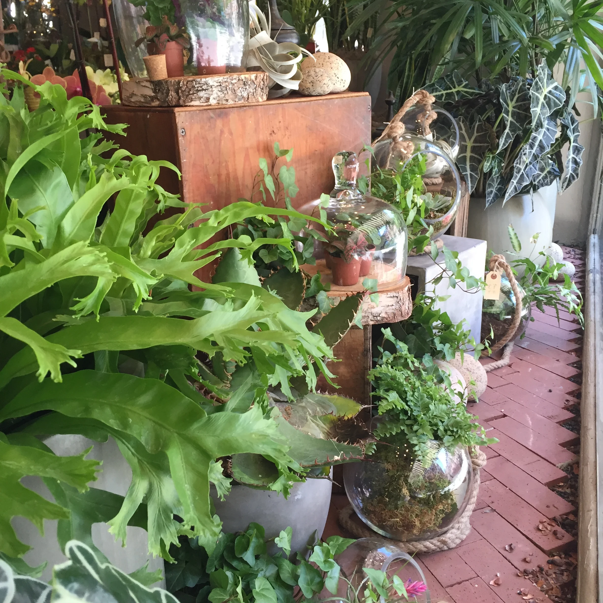 One of out favorite summer window displays (so far!) 