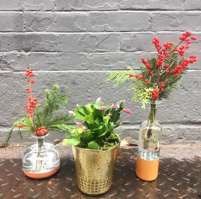 Christmas Cactus.jpg