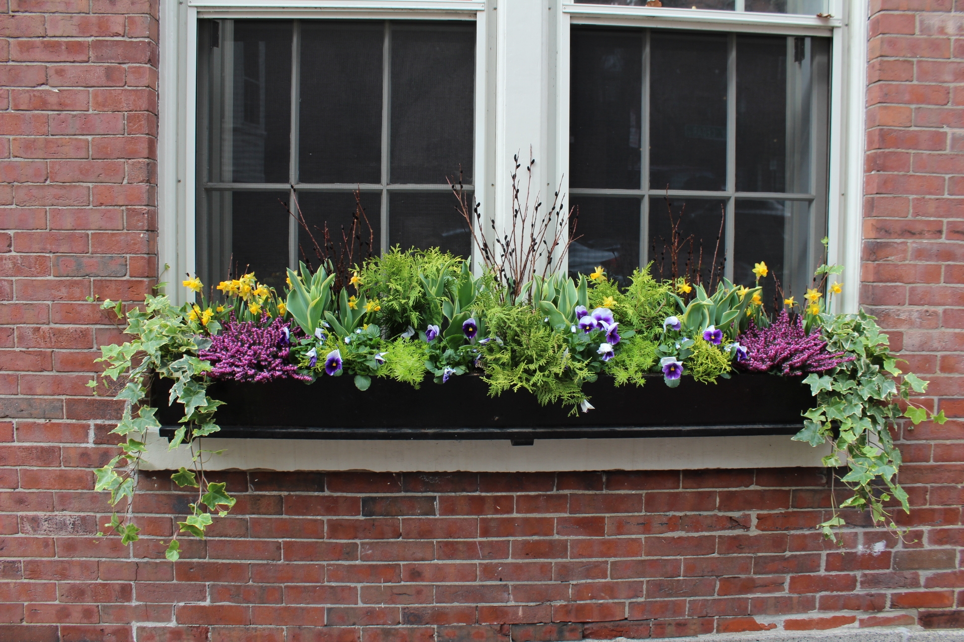 Window box