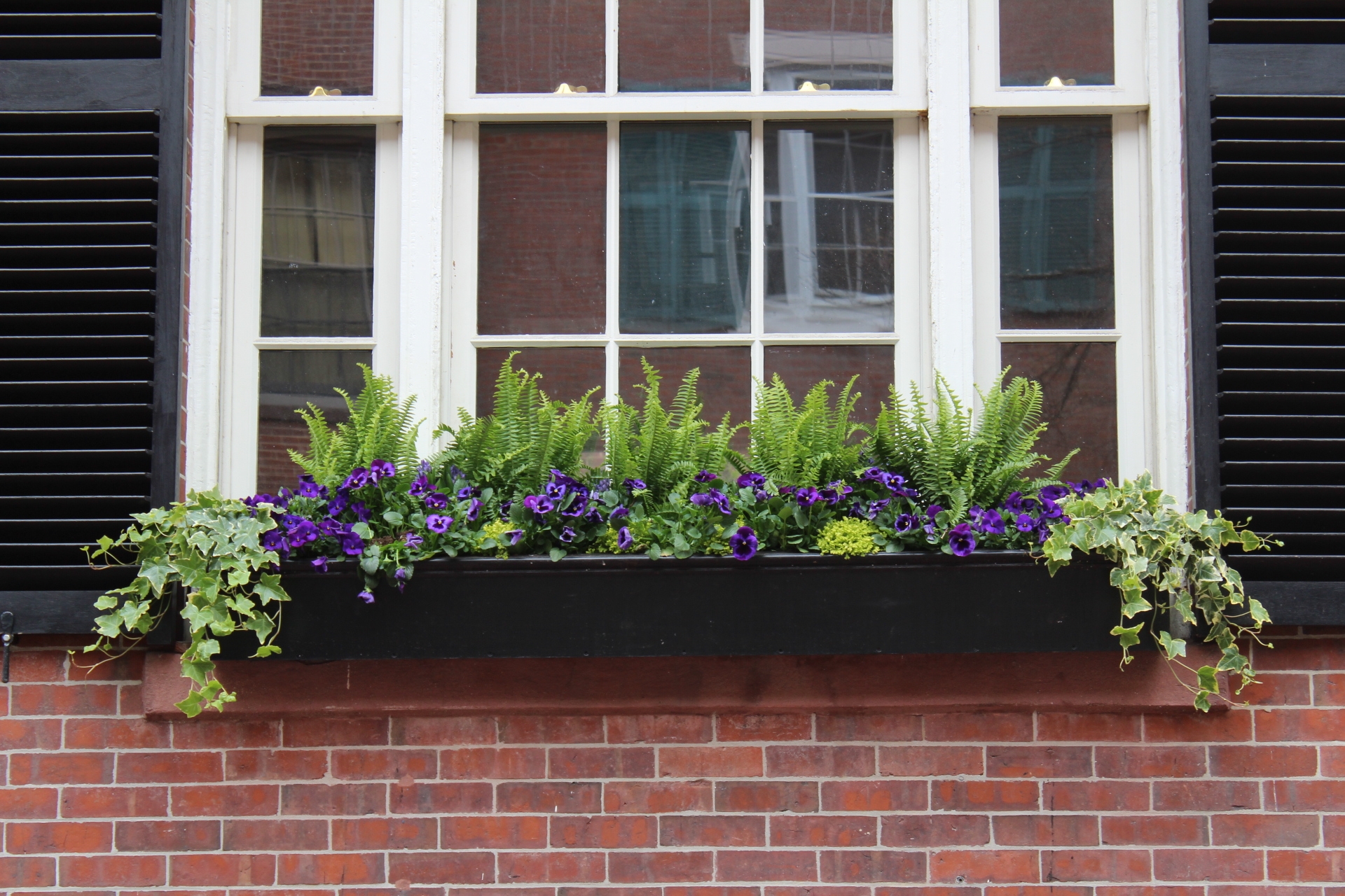 window boxes