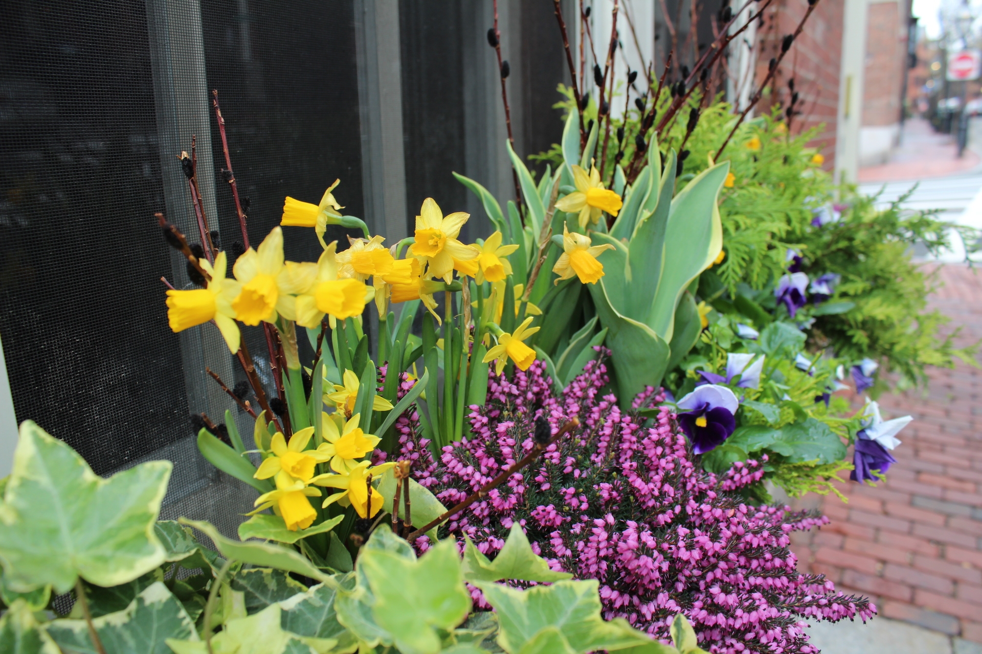 Window boxes