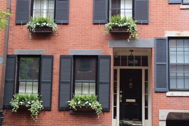 Window boxes boston